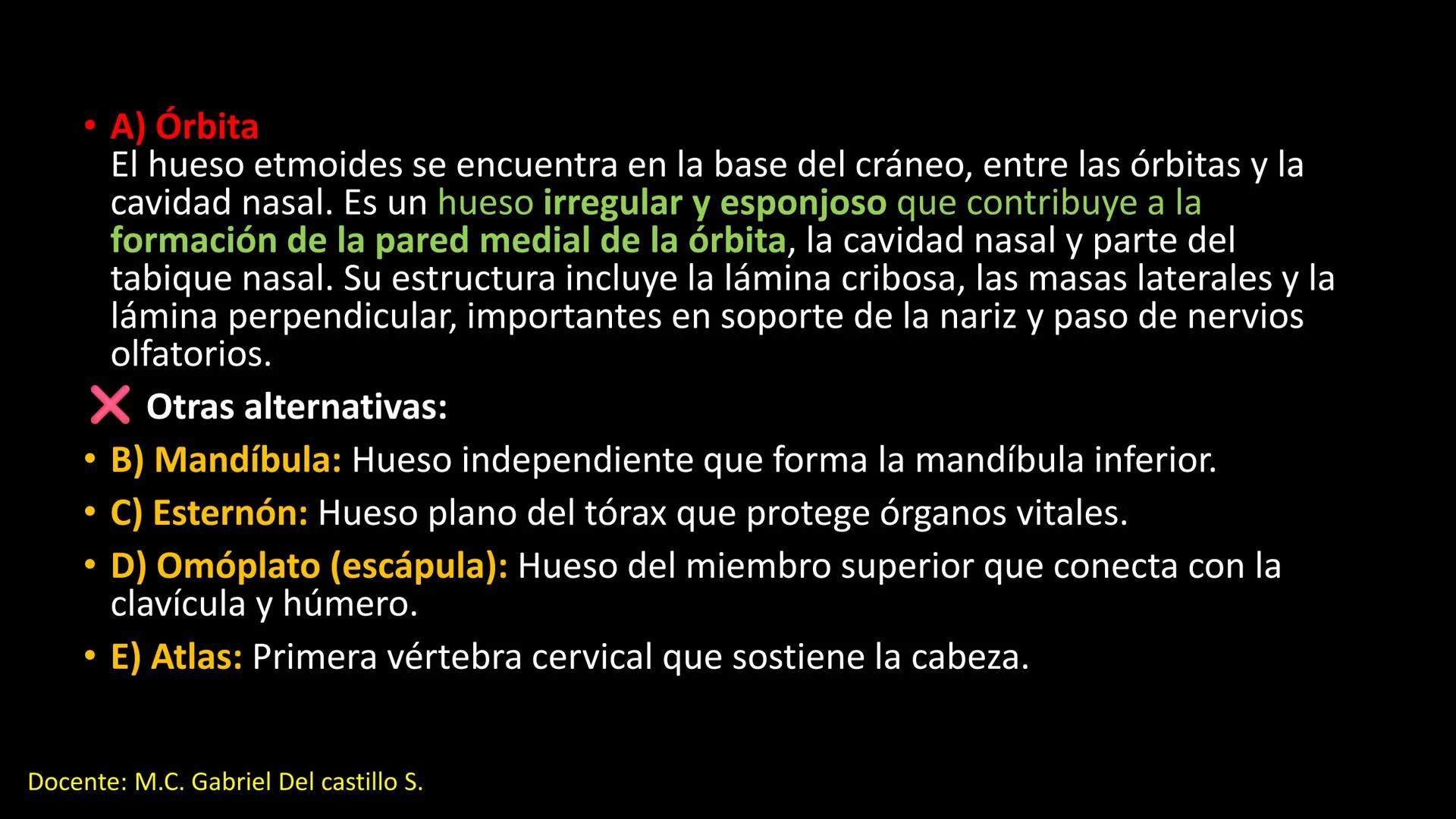 Ceprebicentenario
Cap 2. Octubre 2025 - Ciclo intensivo
Docente: M.C. Gabriel Del castillo S. • 01. El esqueleto axial incluye estructuras