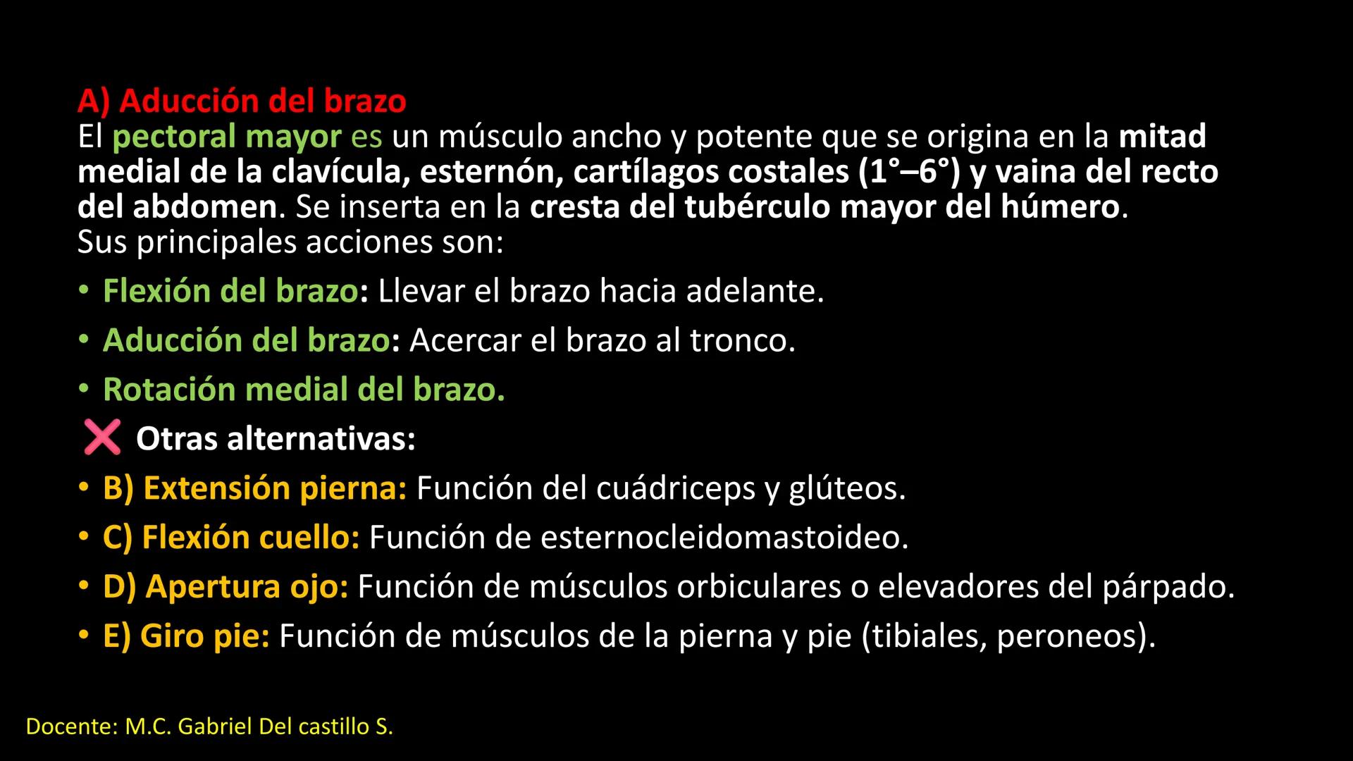 Ceprebicentenario
Cap 2. Octubre 2025 - Ciclo intensivo
Docente: M.C. Gabriel Del castillo S. • 01. El esqueleto axial incluye estructuras