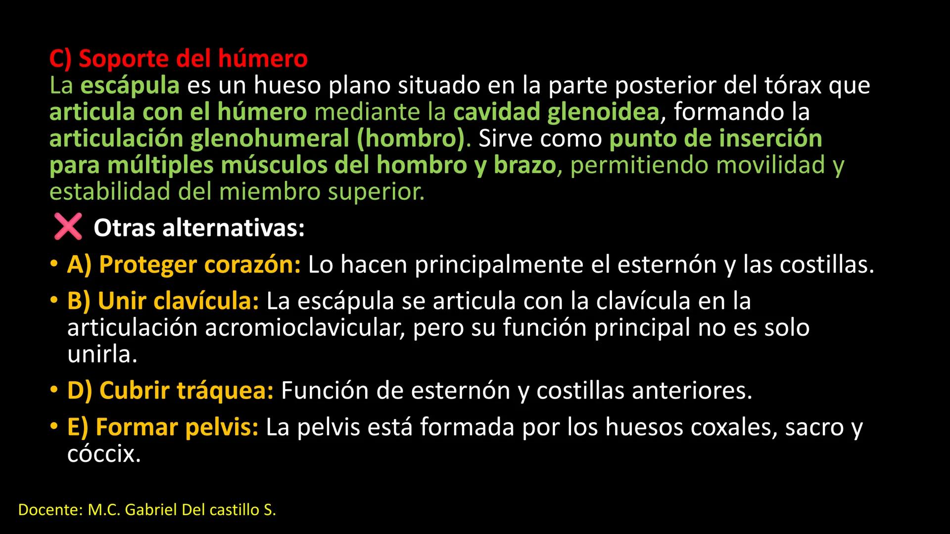 Ceprebicentenario
Cap 2. Octubre 2025 - Ciclo intensivo
Docente: M.C. Gabriel Del castillo S. • 01. El esqueleto axial incluye estructuras