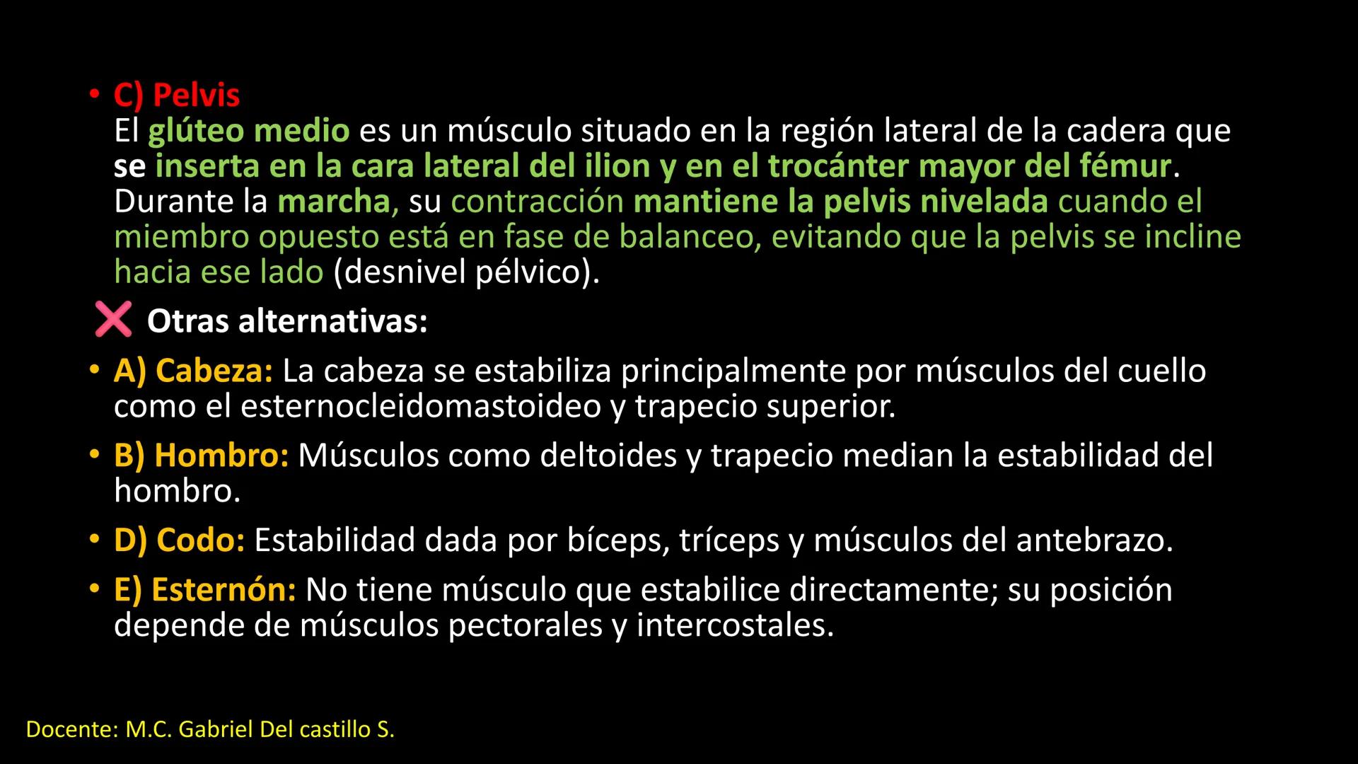 Ceprebicentenario
Cap 2. Octubre 2025 - Ciclo intensivo
Docente: M.C. Gabriel Del castillo S. • 01. El esqueleto axial incluye estructuras
