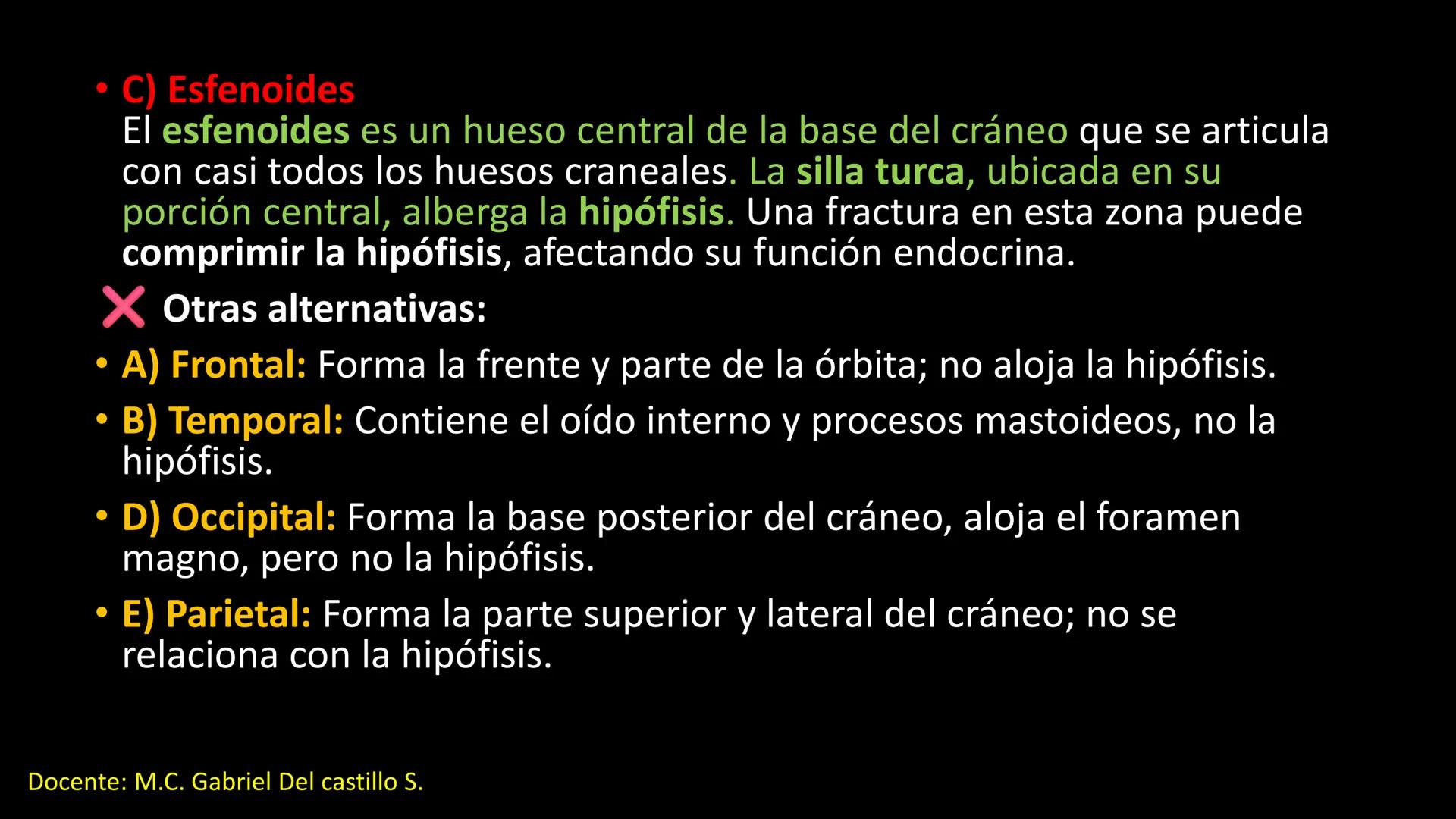 Ceprebicentenario
Cap 2. Octubre 2025 - Ciclo intensivo
Docente: M.C. Gabriel Del castillo S. • 01. El esqueleto axial incluye estructuras