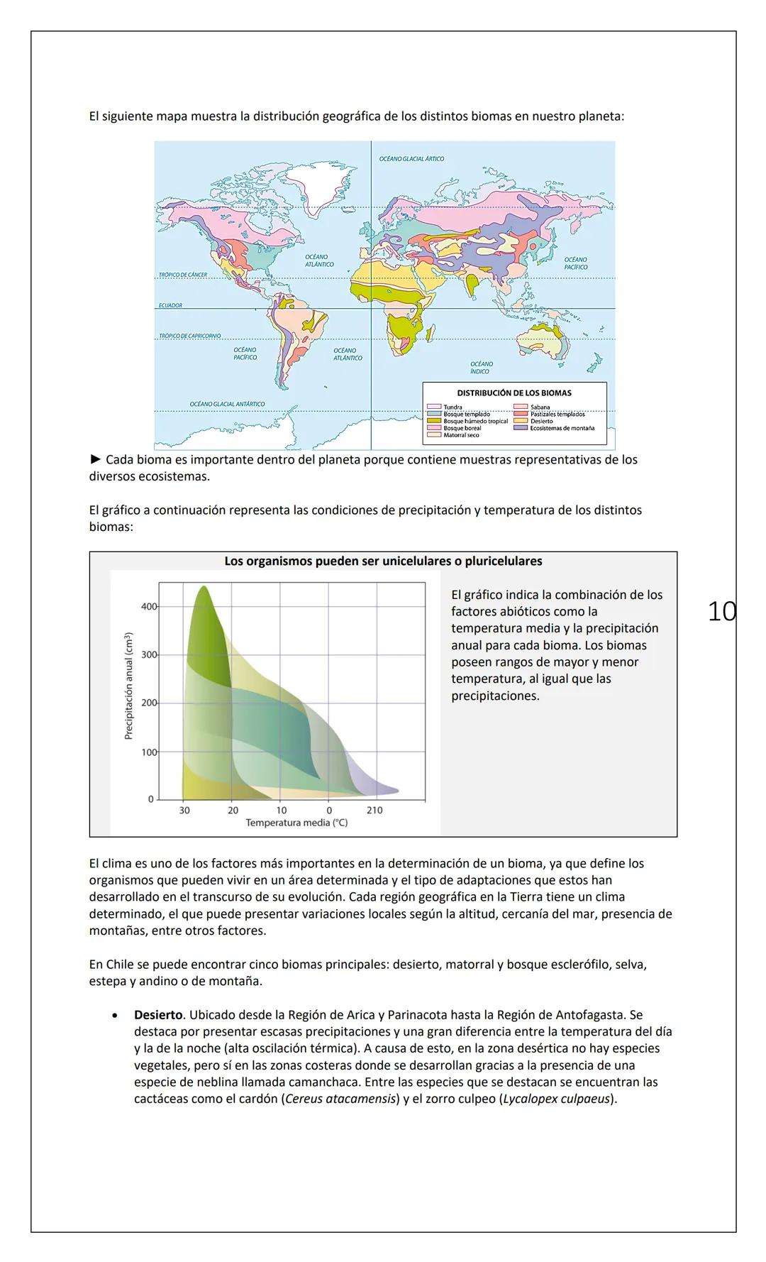 # INSTITUTO
NACIONAL
Departamento
de Biología
Nombre
INTERACCIONES (1): NIVELES DE ORGANIZACIÓN
Fecha
Curso
1° Medio
INTRODUCCIÓN:
Tod