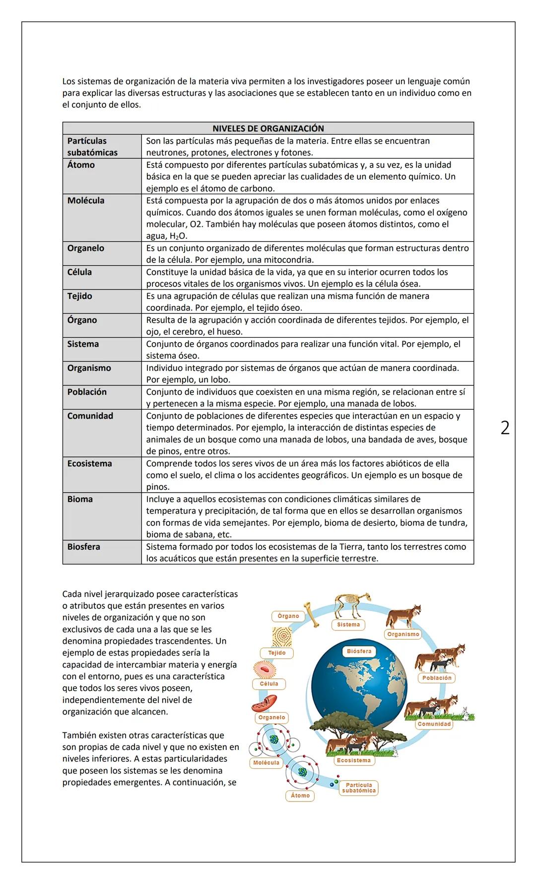 # INSTITUTO
NACIONAL
Departamento
de Biología
Nombre
INTERACCIONES (1): NIVELES DE ORGANIZACIÓN
Fecha
Curso
1° Medio
INTRODUCCIÓN:
Tod
