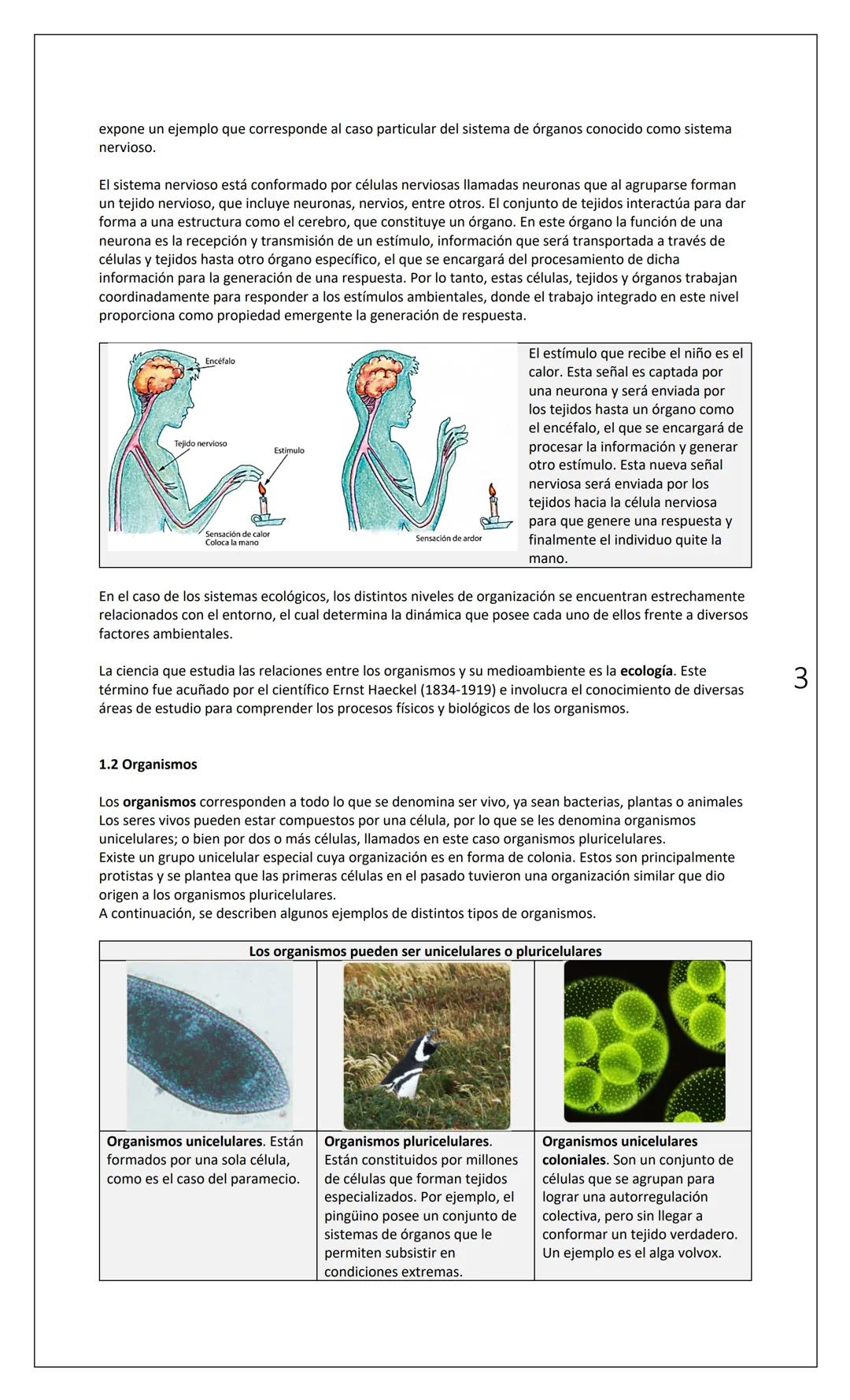 # INSTITUTO
NACIONAL
Departamento
de Biología
Nombre
INTERACCIONES (1): NIVELES DE ORGANIZACIÓN
Fecha
Curso
1° Medio
INTRODUCCIÓN:
Tod