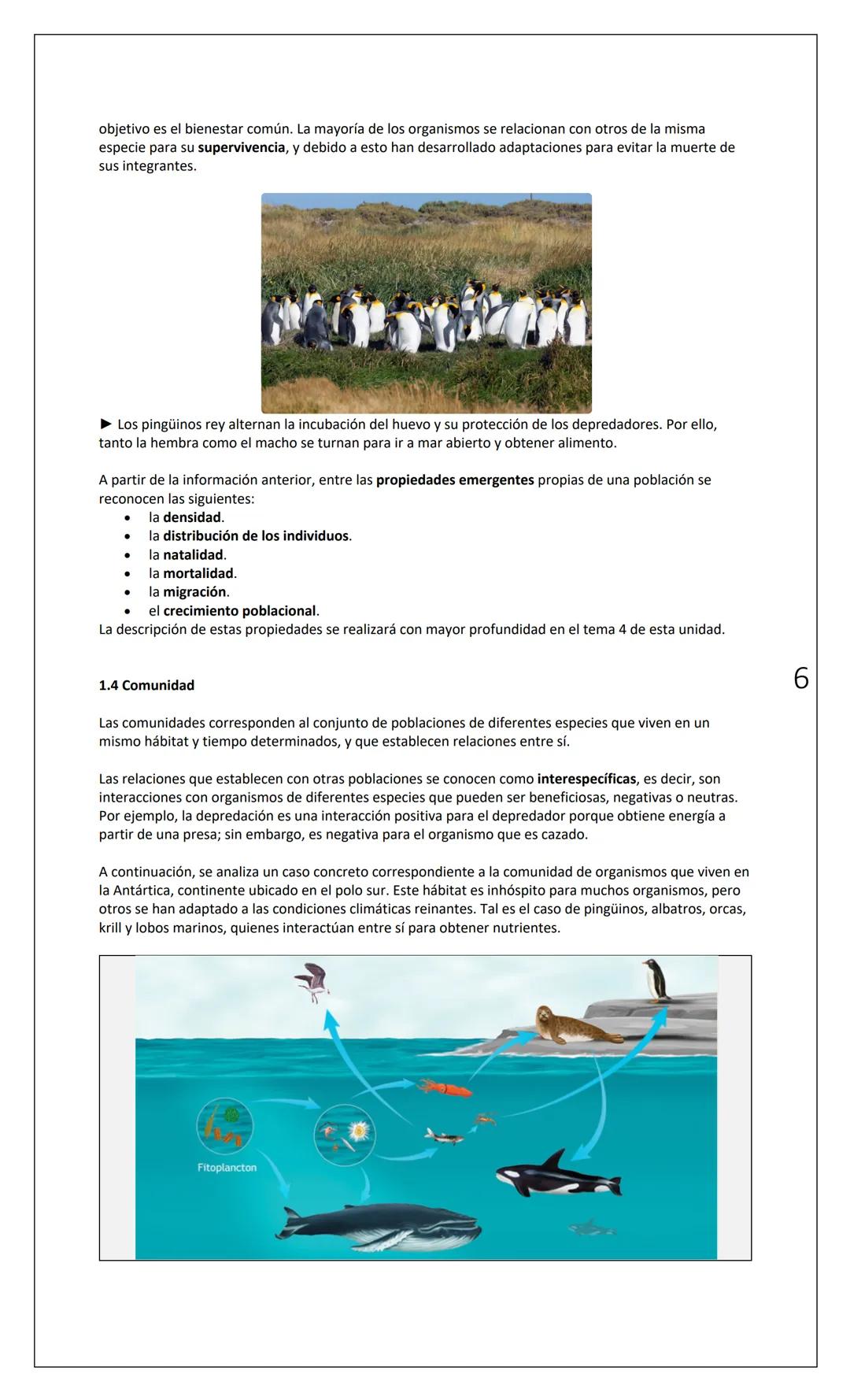 # INSTITUTO
NACIONAL
Departamento
de Biología
Nombre
INTERACCIONES (1): NIVELES DE ORGANIZACIÓN
Fecha
Curso
1° Medio
INTRODUCCIÓN:
Tod