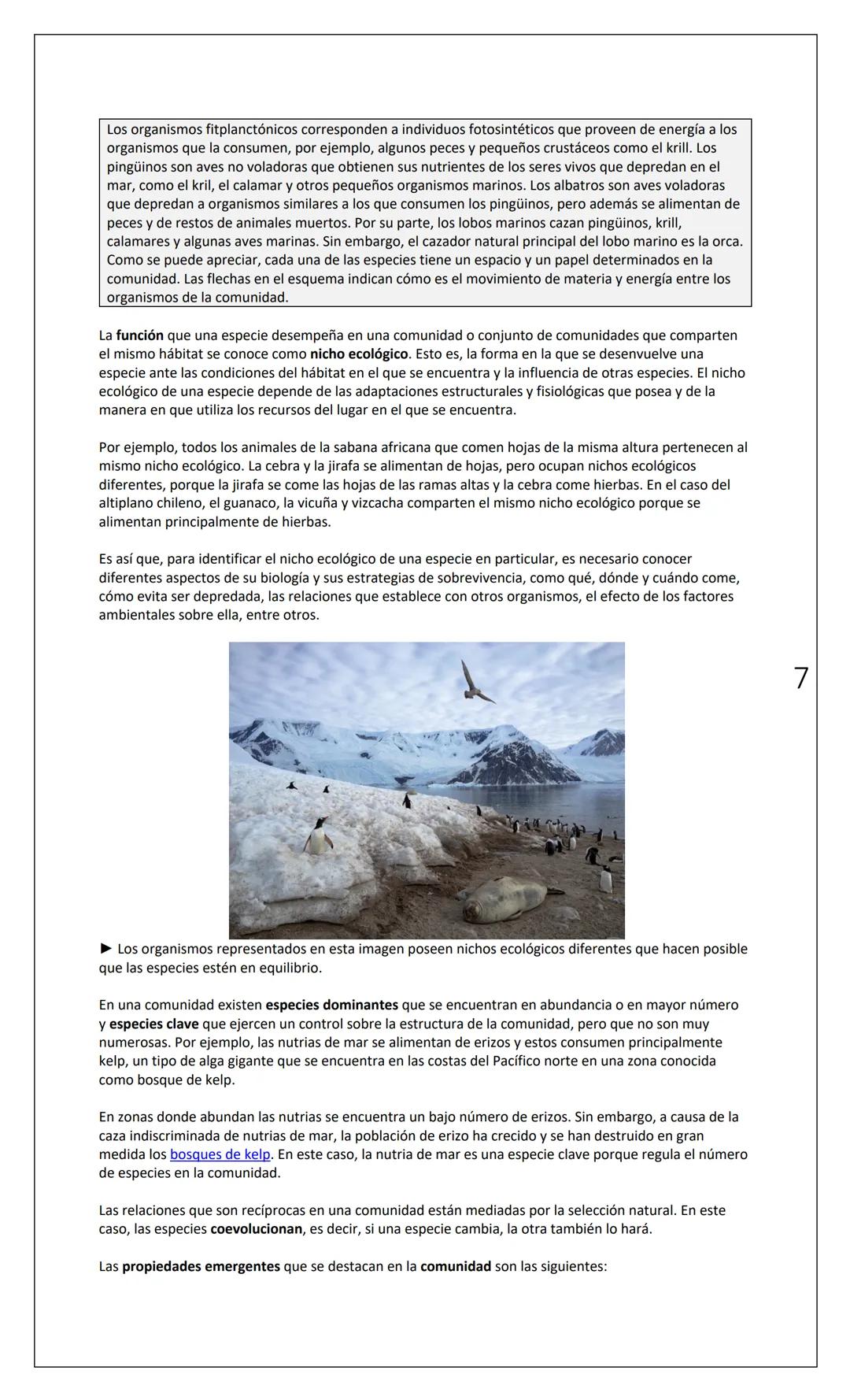 # INSTITUTO
NACIONAL
Departamento
de Biología
Nombre
INTERACCIONES (1): NIVELES DE ORGANIZACIÓN
Fecha
Curso
1° Medio
INTRODUCCIÓN:
Tod