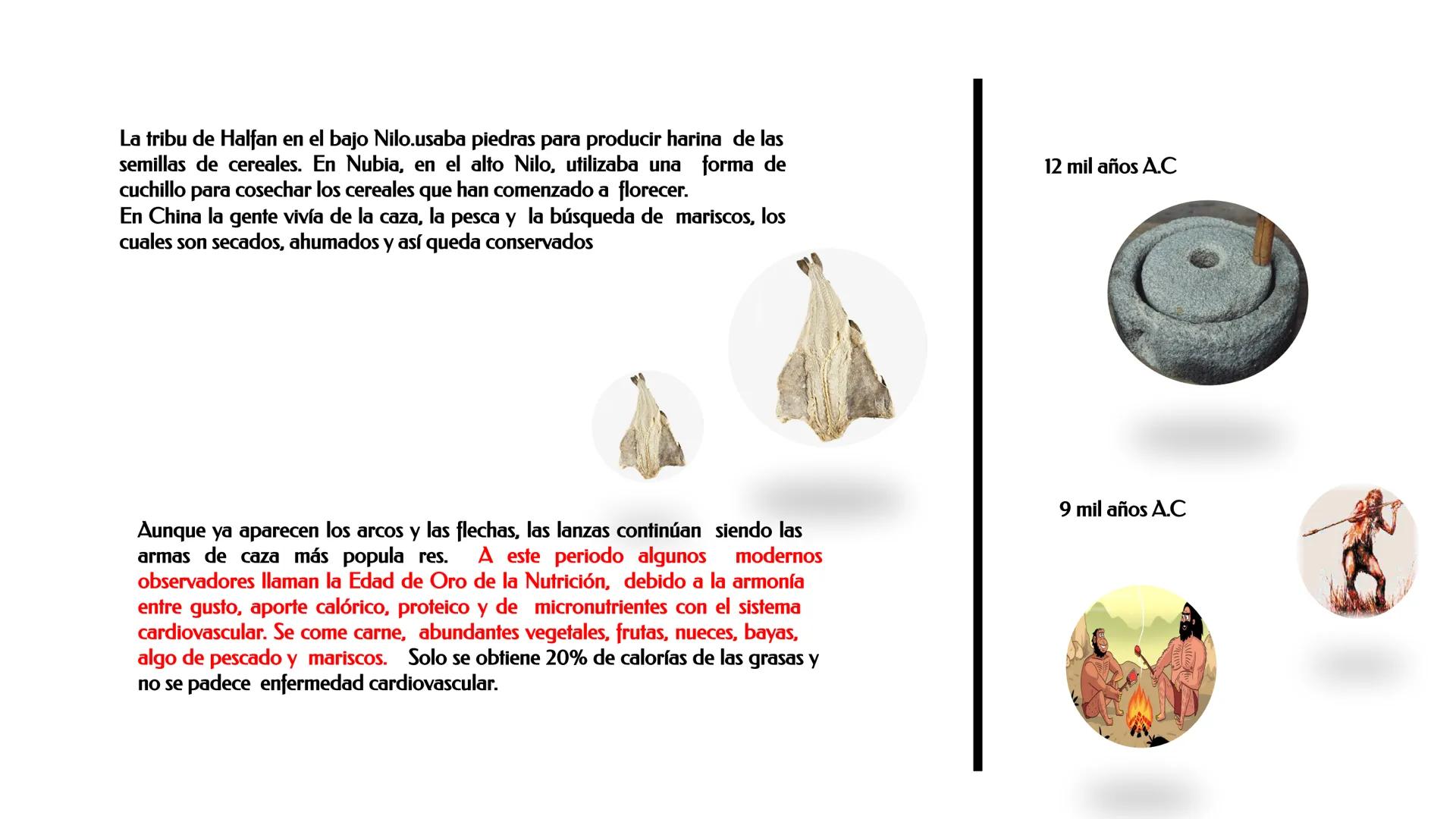 ESCUELA PROFESIONAL DE INGENIERIA EN INDUSTRIAS ALIMENTARIAS
DEPARTAΜΕΝΤΟ ACADEMICO DE INGENIERIA
UNAB
HISTORIA DE LA ALIMENTACIÓN Y
NUTR