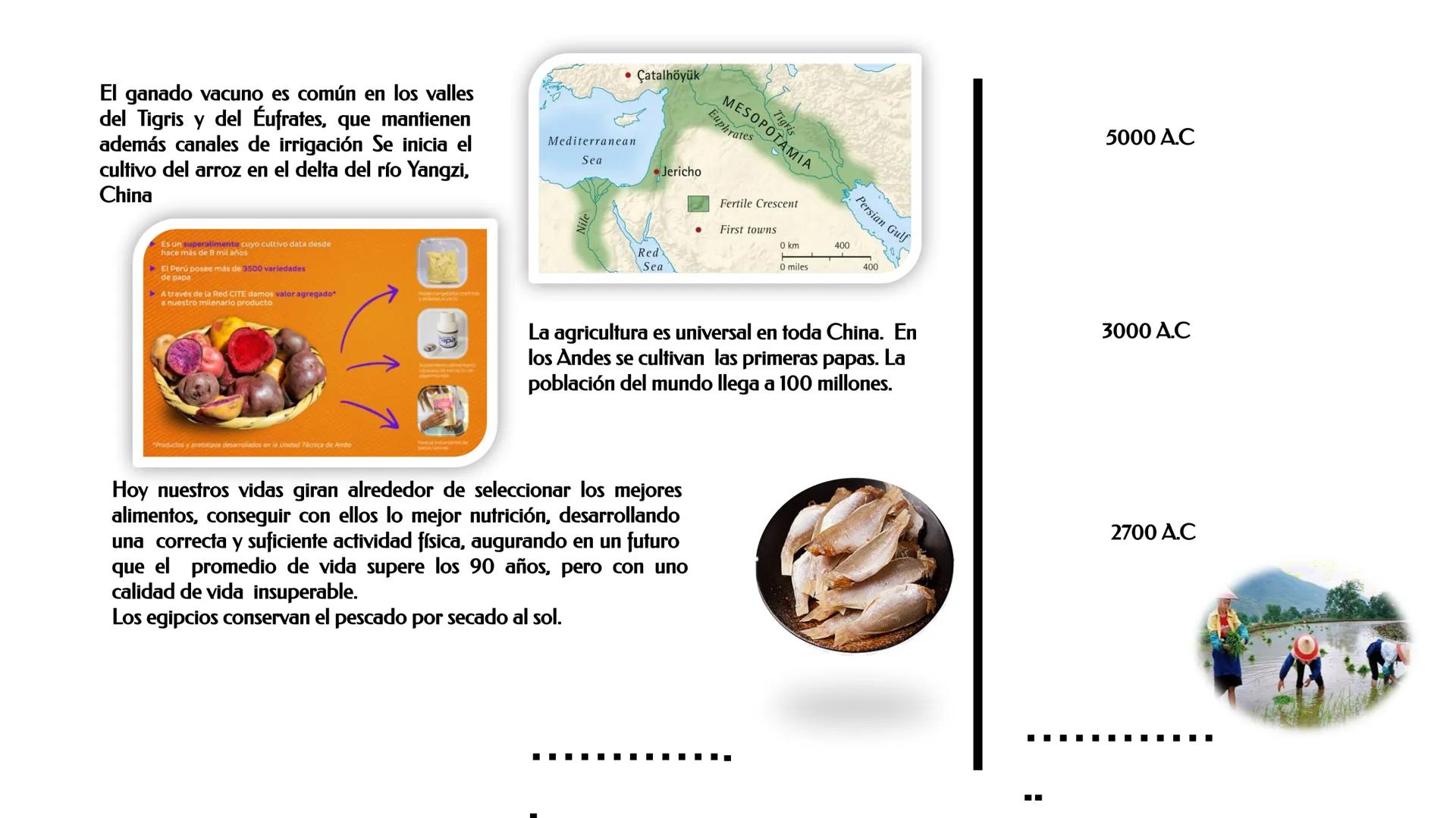 ESCUELA PROFESIONAL DE INGENIERIA EN INDUSTRIAS ALIMENTARIAS
DEPARTAΜΕΝΤΟ ACADEMICO DE INGENIERIA
UNAB
HISTORIA DE LA ALIMENTACIÓN Y
NUTR