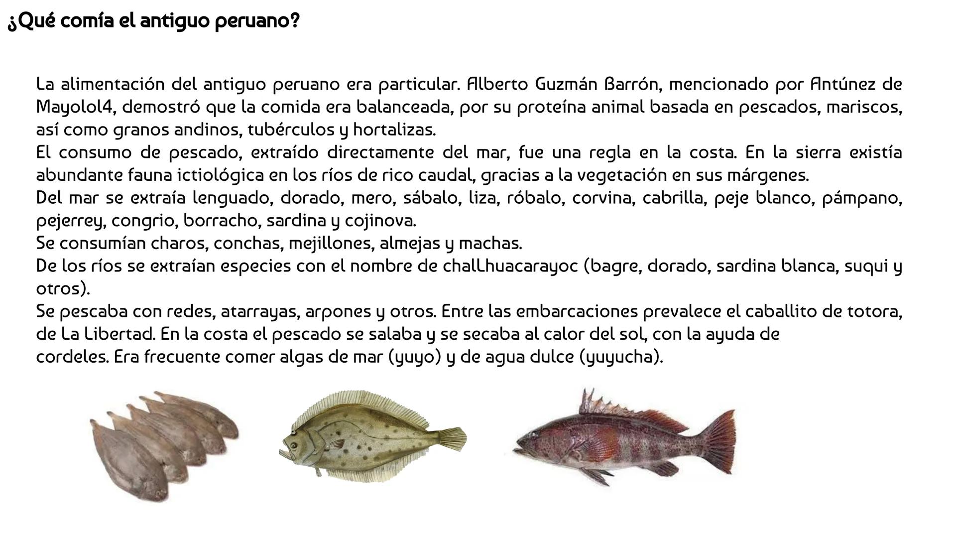 ESCUELA PROFESIONAL DE INGENIERIA EN INDUSTRIAS ALIMENTARIAS
DEPARTAΜΕΝΤΟ ACADEMICO DE INGENIERIA
UNAB
HISTORIA DE LA ALIMENTACIÓN Y
NUTR