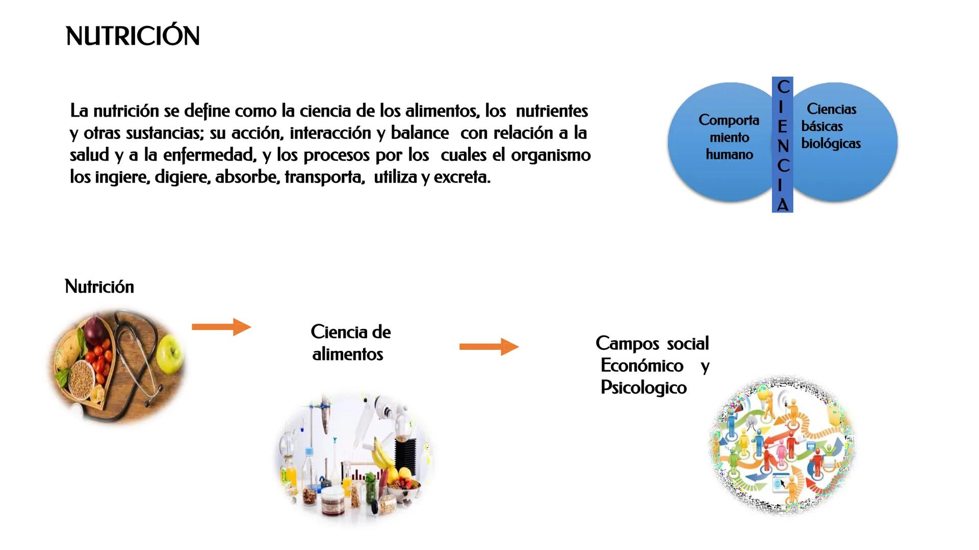 ESCUELA PROFESIONAL DE INGENIERIA EN INDUSTRIAS ALIMENTARIAS
DEPARTAΜΕΝΤΟ ACADEMICO DE INGENIERIA
UNAB
HISTORIA DE LA ALIMENTACIÓN Y
NUTR