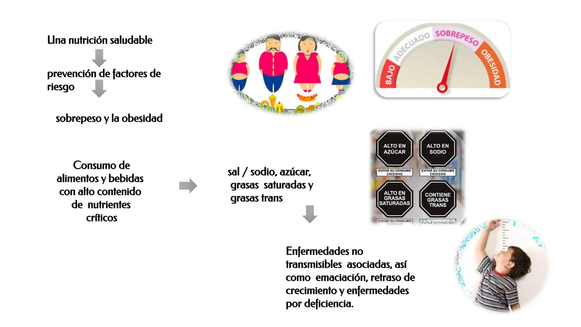 ESCUELA PROFESIONAL DE INGENIERIA EN INDUSTRIAS ALIMENTARIAS
DEPARTAΜΕΝΤΟ ACADEMICO DE INGENIERIA
UNAB
HISTORIA DE LA ALIMENTACIÓN Y
NUTR