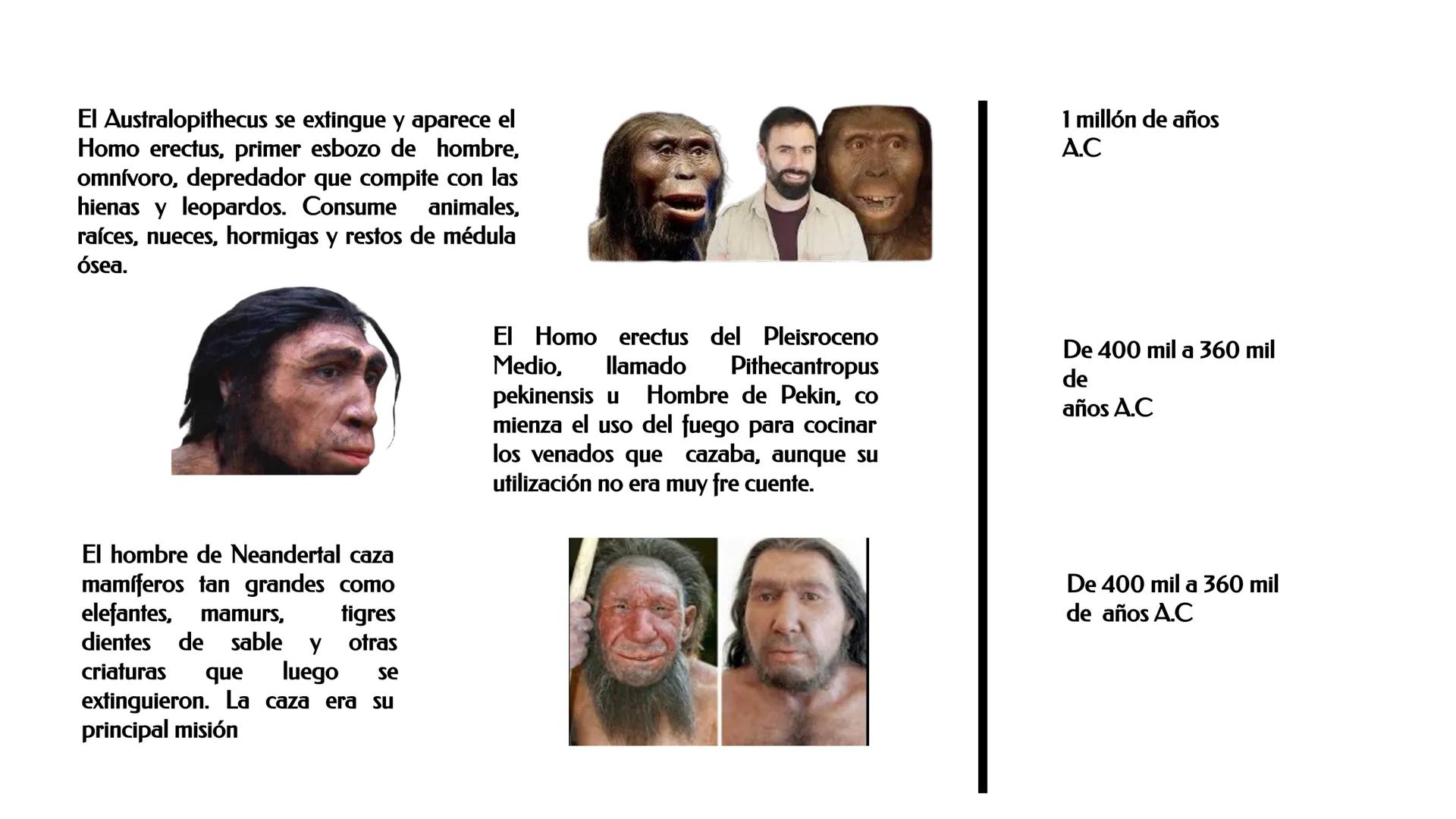 ESCUELA PROFESIONAL DE INGENIERIA EN INDUSTRIAS ALIMENTARIAS
DEPARTAΜΕΝΤΟ ACADEMICO DE INGENIERIA
UNAB
HISTORIA DE LA ALIMENTACIÓN Y
NUTR