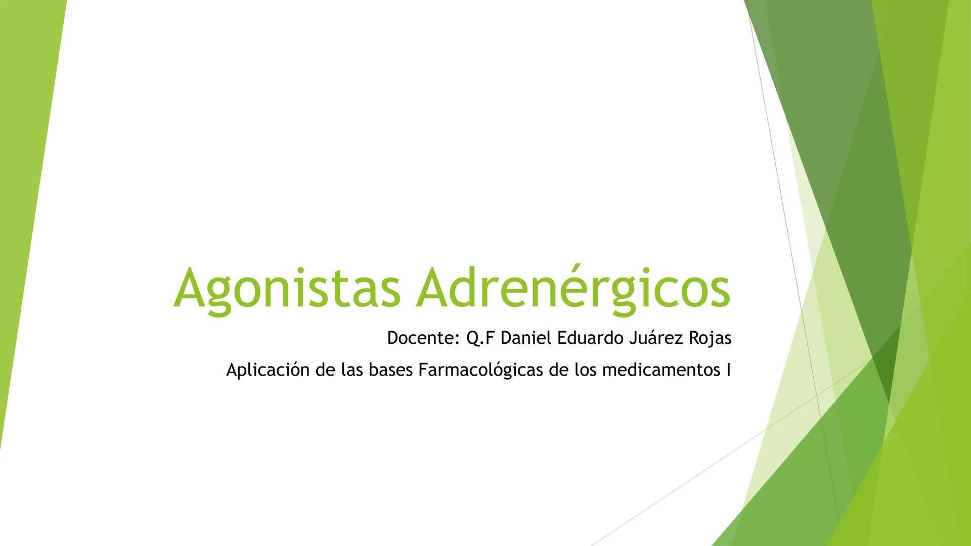 # Agonistas Adrenérgicos
Docente: Q.F Daniel Eduardo Juárez Rojas
Aplicación de las bases Farmacológicas de los medicamentos I # GENERALID