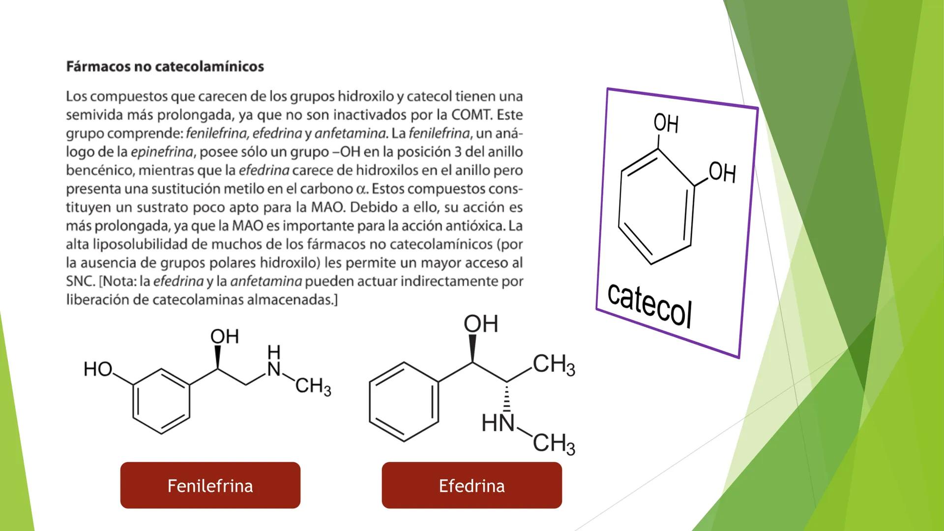 # Agonistas Adrenérgicos
Docente: Q.F Daniel Eduardo Juárez Rojas
Aplicación de las bases Farmacológicas de los medicamentos I # GENERALID