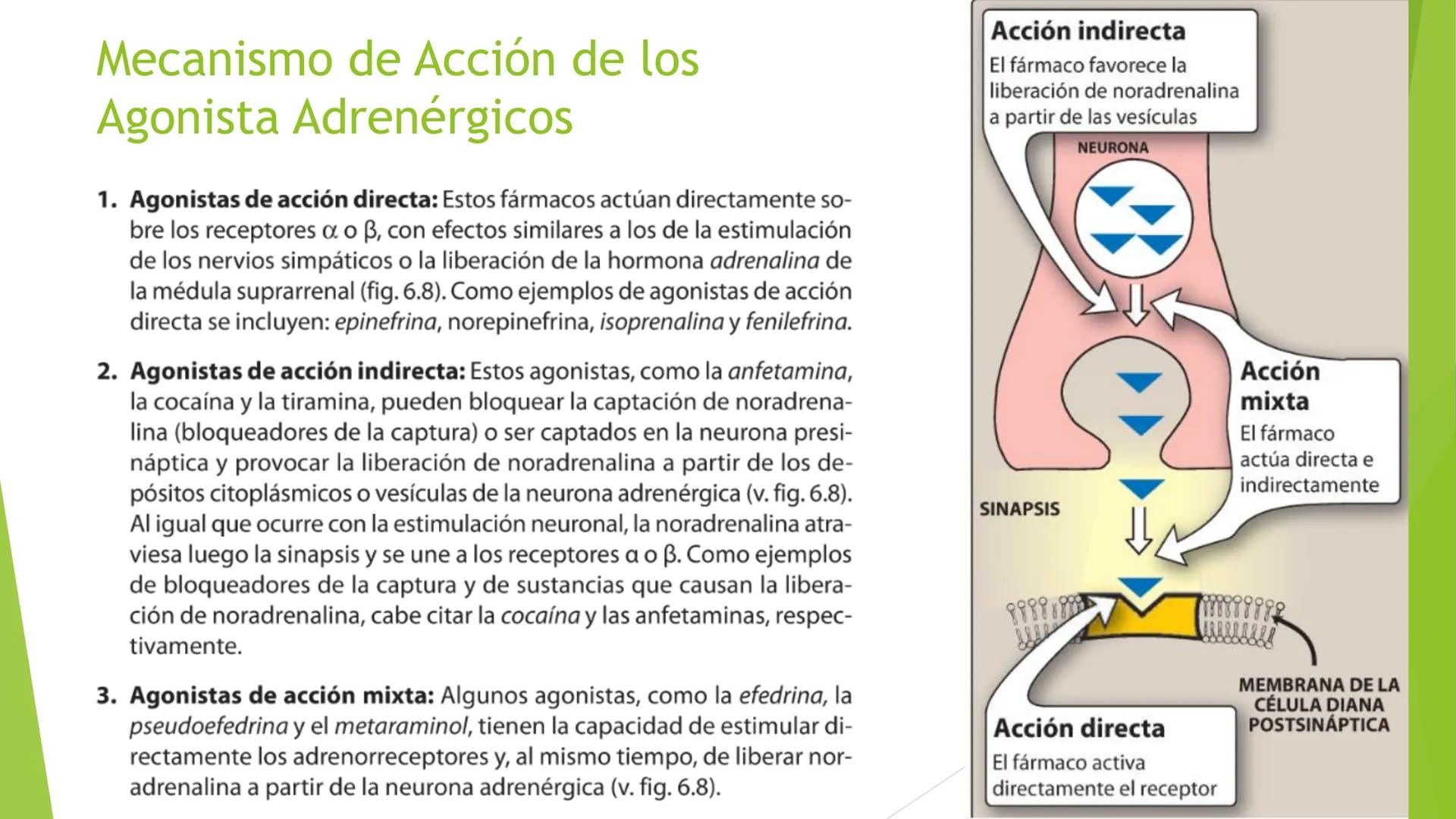 # Agonistas Adrenérgicos
Docente: Q.F Daniel Eduardo Juárez Rojas
Aplicación de las bases Farmacológicas de los medicamentos I # GENERALID