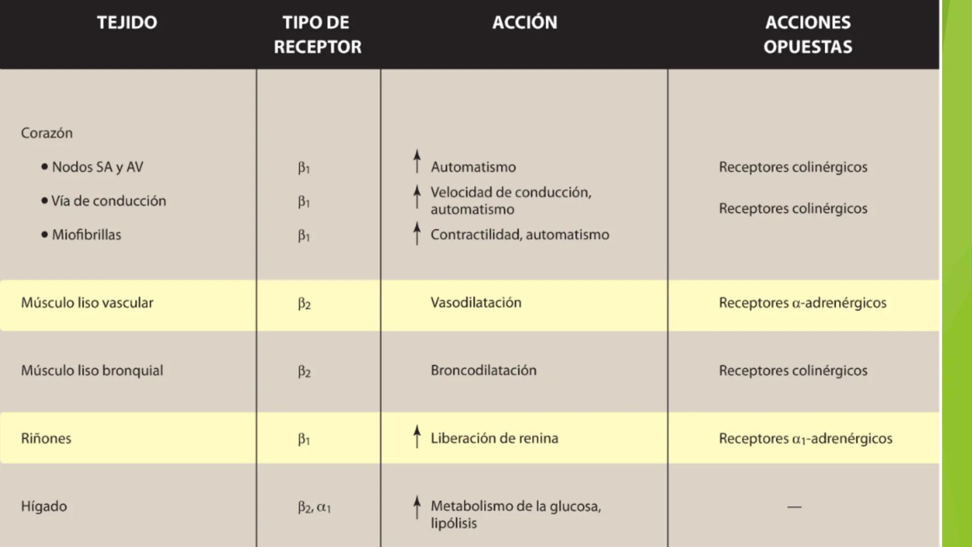 # Agonistas Adrenérgicos
Docente: Q.F Daniel Eduardo Juárez Rojas
Aplicación de las bases Farmacológicas de los medicamentos I # GENERALID
