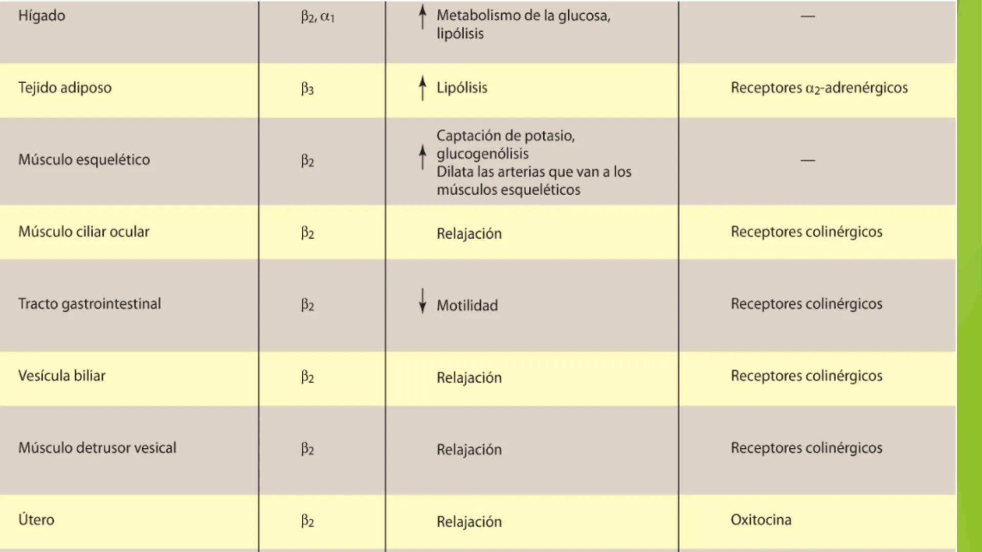 # Agonistas Adrenérgicos
Docente: Q.F Daniel Eduardo Juárez Rojas
Aplicación de las bases Farmacológicas de los medicamentos I # GENERALID