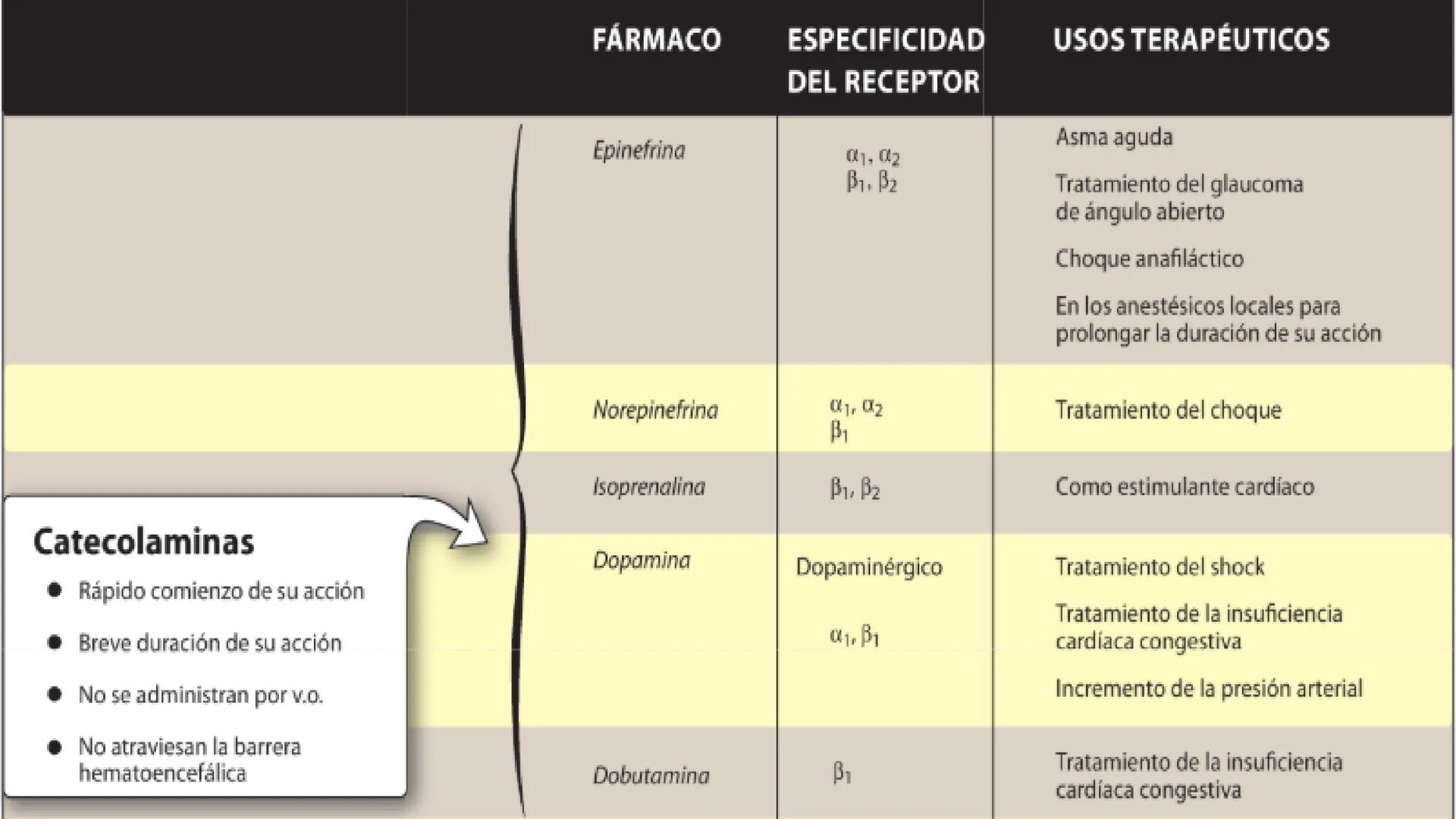 # Agonistas Adrenérgicos
Docente: Q.F Daniel Eduardo Juárez Rojas
Aplicación de las bases Farmacológicas de los medicamentos I # GENERALID