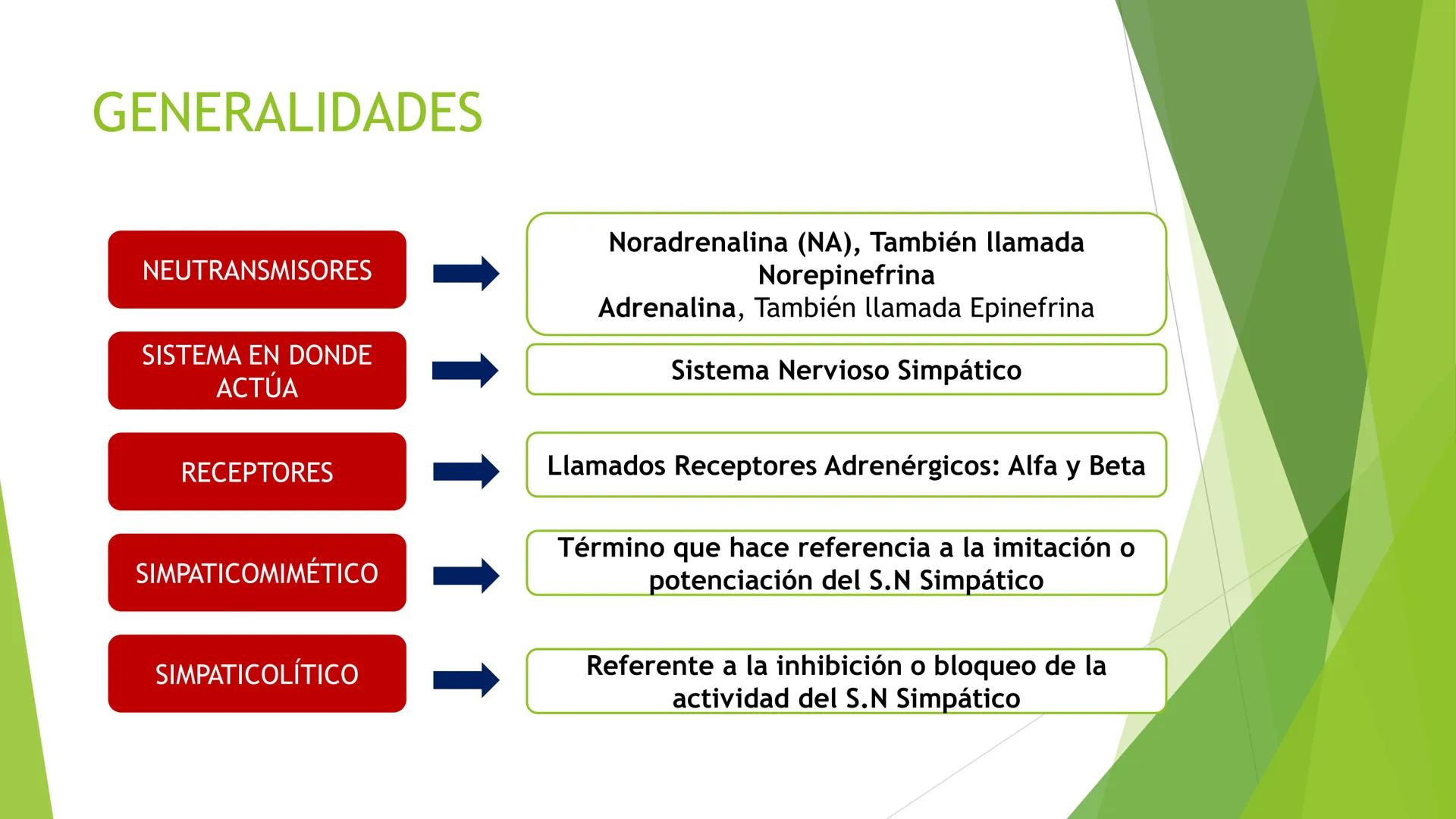 # Agonistas Adrenérgicos
Docente: Q.F Daniel Eduardo Juárez Rojas
Aplicación de las bases Farmacológicas de los medicamentos I # GENERALID