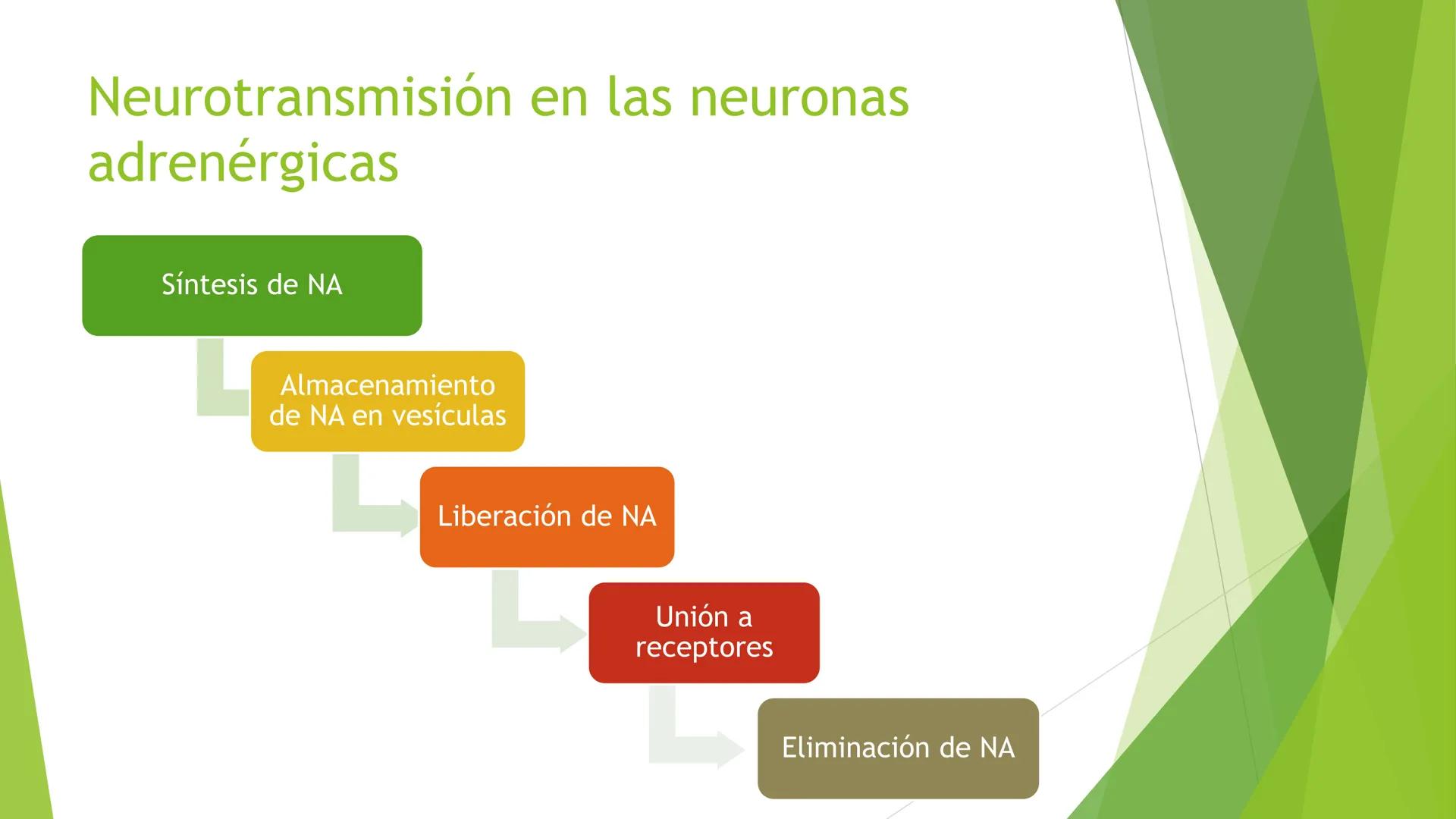 # Agonistas Adrenérgicos
Docente: Q.F Daniel Eduardo Juárez Rojas
Aplicación de las bases Farmacológicas de los medicamentos I # GENERALID