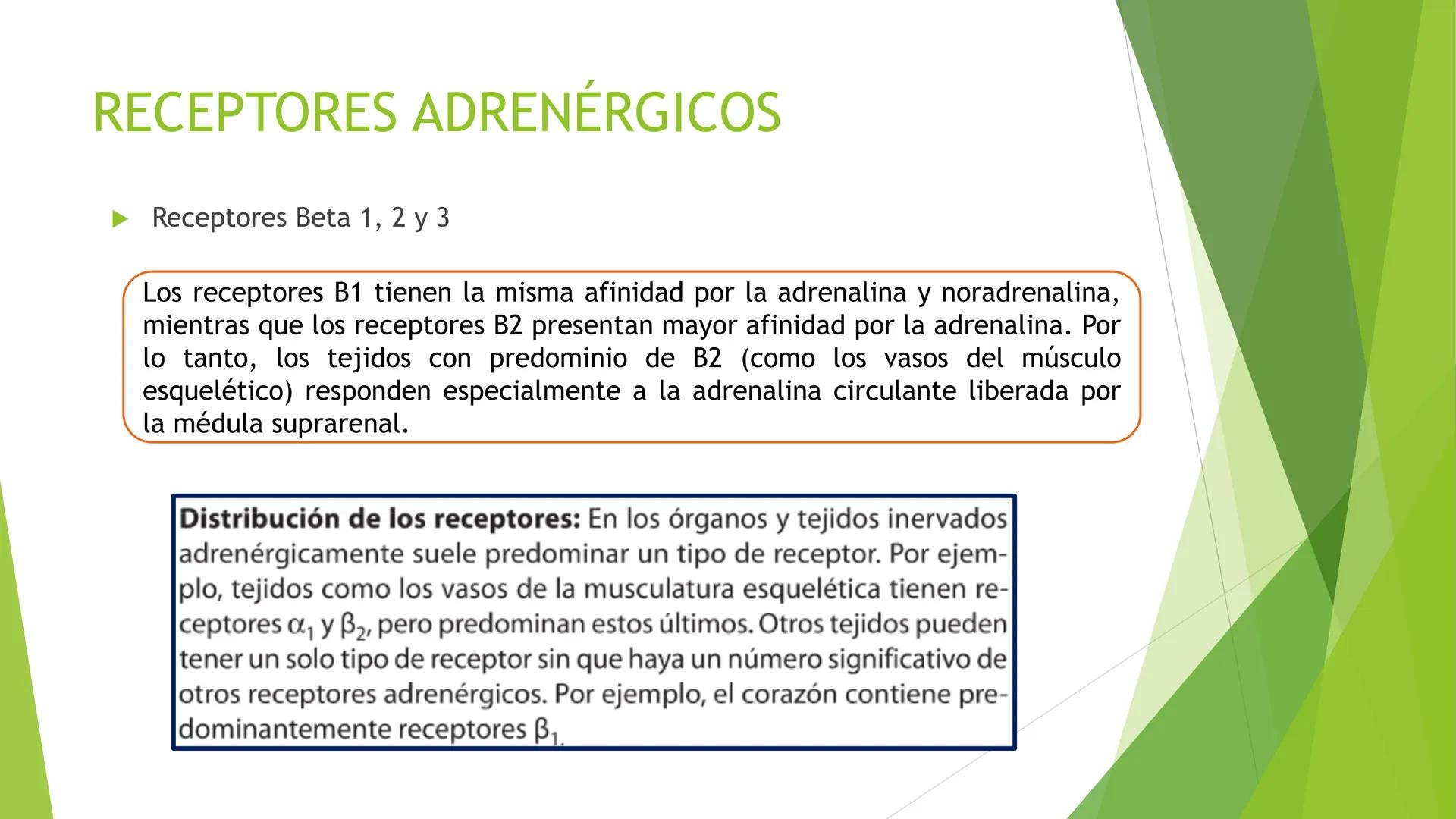 # Agonistas Adrenérgicos
Docente: Q.F Daniel Eduardo Juárez Rojas
Aplicación de las bases Farmacológicas de los medicamentos I # GENERALID