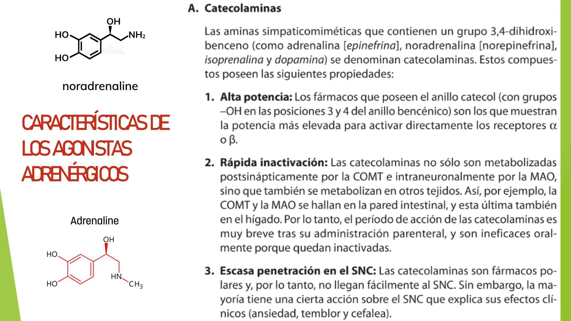 # Agonistas Adrenérgicos
Docente: Q.F Daniel Eduardo Juárez Rojas
Aplicación de las bases Farmacológicas de los medicamentos I # GENERALID
