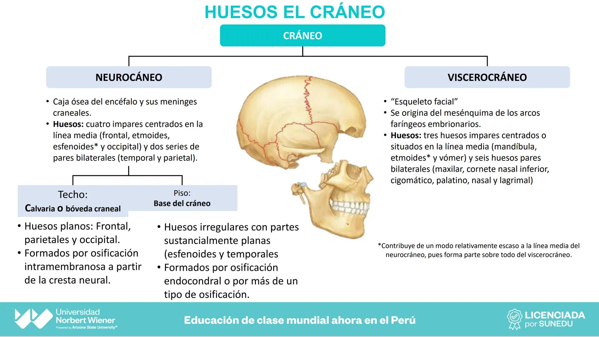 Universidad
Norbert Wiener
Powered by Arizona State University®
VERY GOOD
QS
¡Bienvenidos!
UNIDAD III - Fundamentos Integrados del Siste