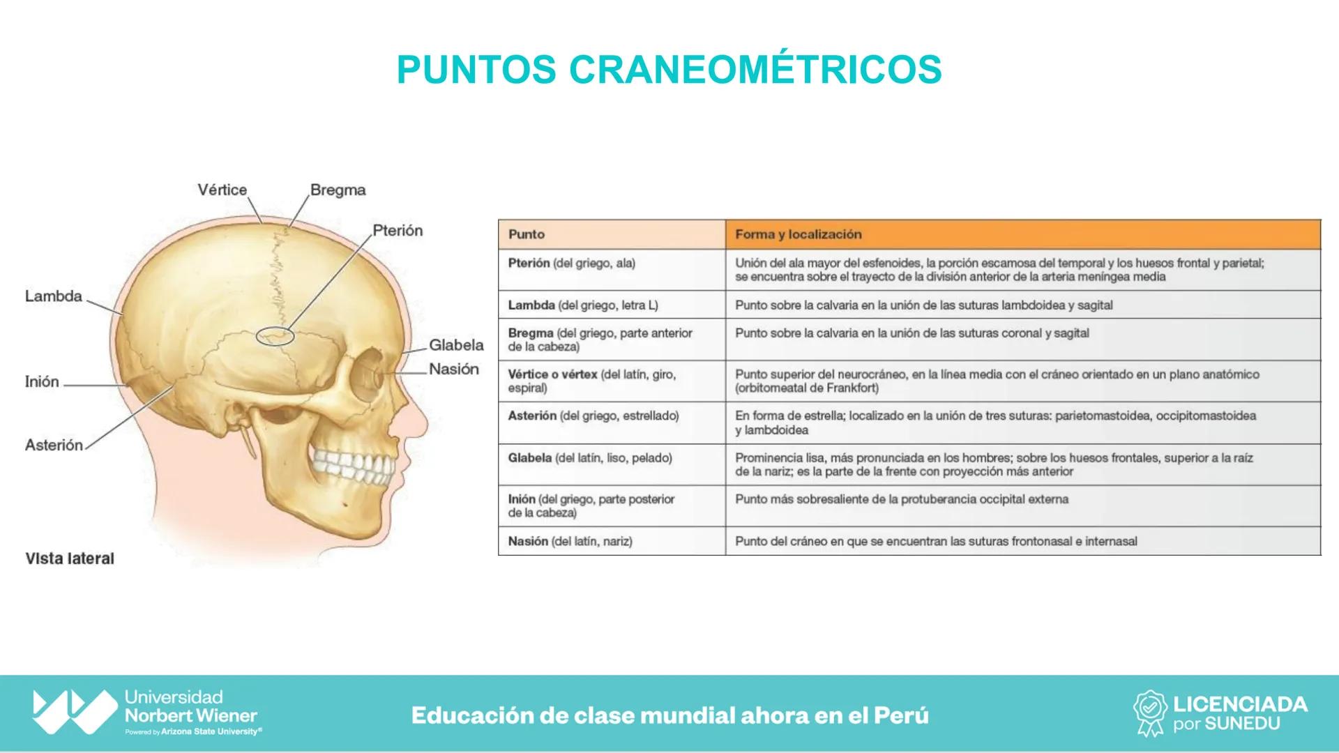 Universidad
Norbert Wiener
Powered by Arizona State University®
VERY GOOD
QS
¡Bienvenidos!
UNIDAD III - Fundamentos Integrados del Siste