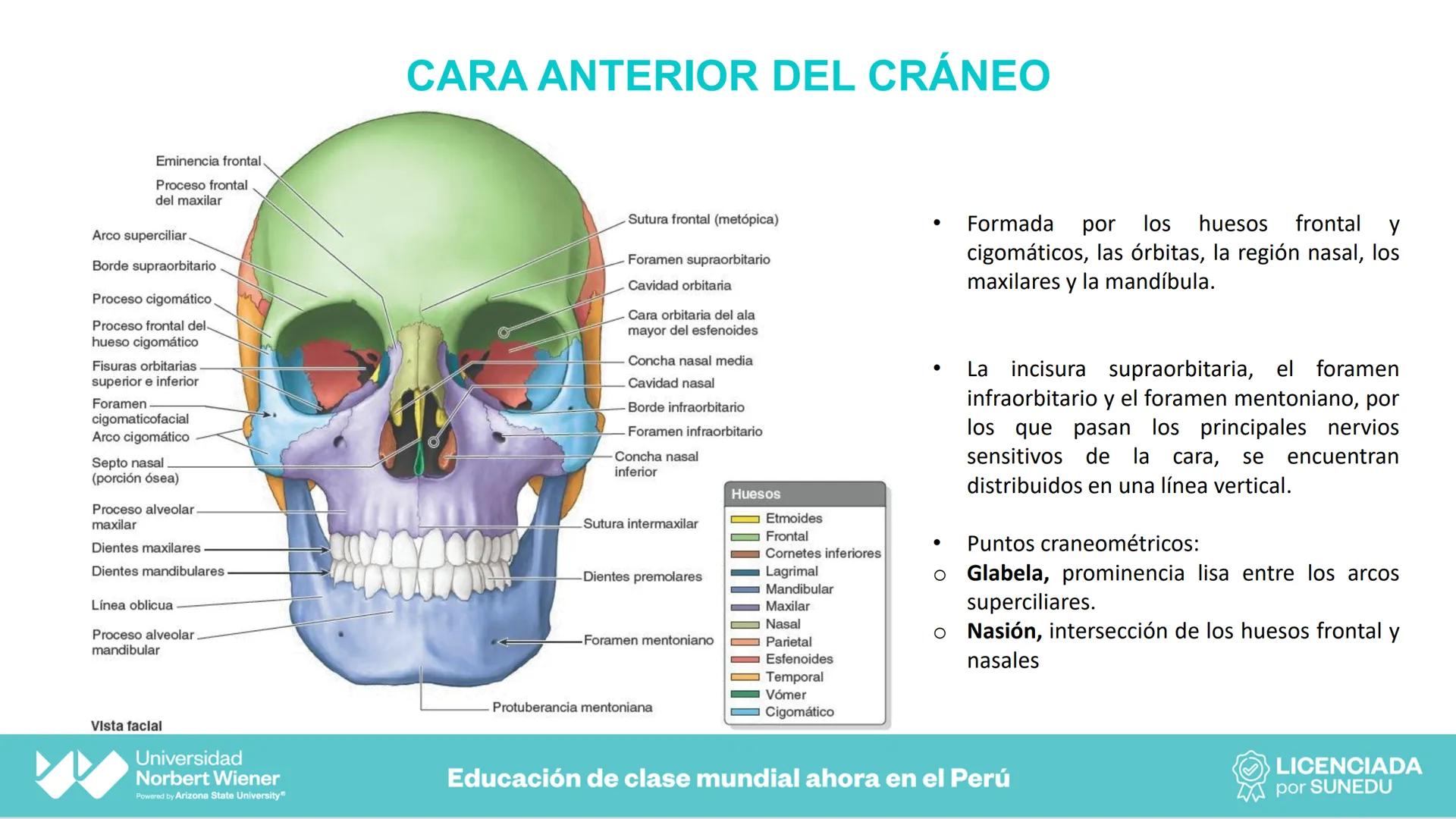 Universidad
Norbert Wiener
Powered by Arizona State University®
VERY GOOD
QS
¡Bienvenidos!
UNIDAD III - Fundamentos Integrados del Siste