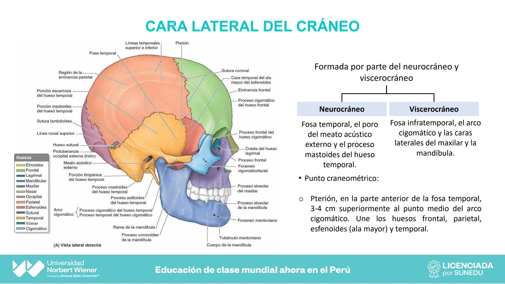 Universidad
Norbert Wiener
Powered by Arizona State University®
VERY GOOD
QS
¡Bienvenidos!
UNIDAD III - Fundamentos Integrados del Siste