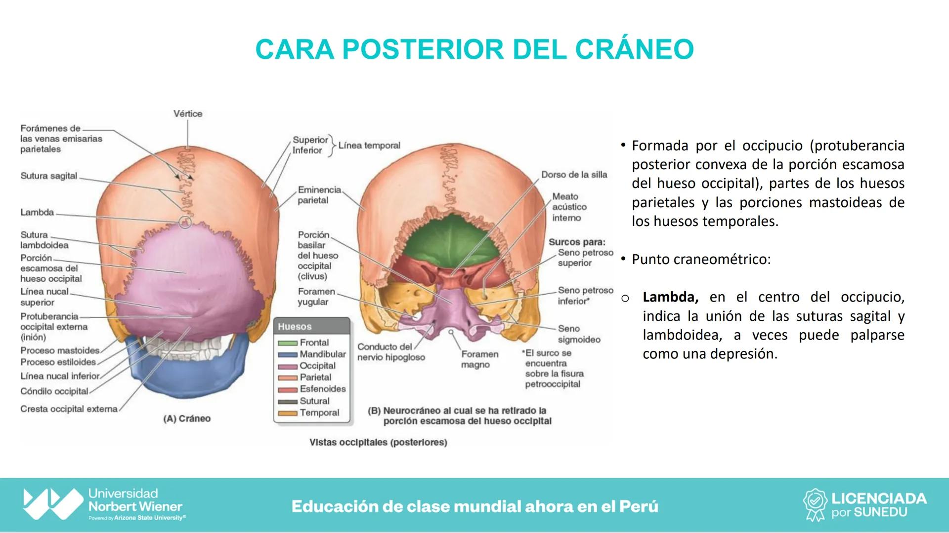 Universidad
Norbert Wiener
Powered by Arizona State University®
VERY GOOD
QS
¡Bienvenidos!
UNIDAD III - Fundamentos Integrados del Siste