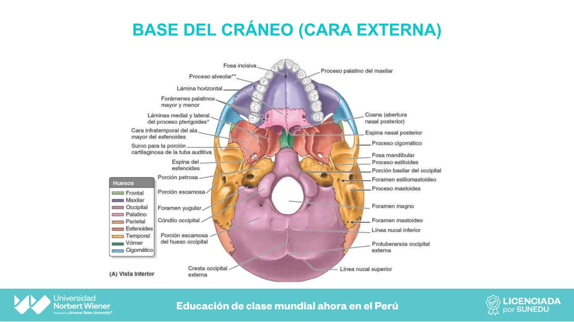 Universidad
Norbert Wiener
Powered by Arizona State University®
VERY GOOD
QS
¡Bienvenidos!
UNIDAD III - Fundamentos Integrados del Siste