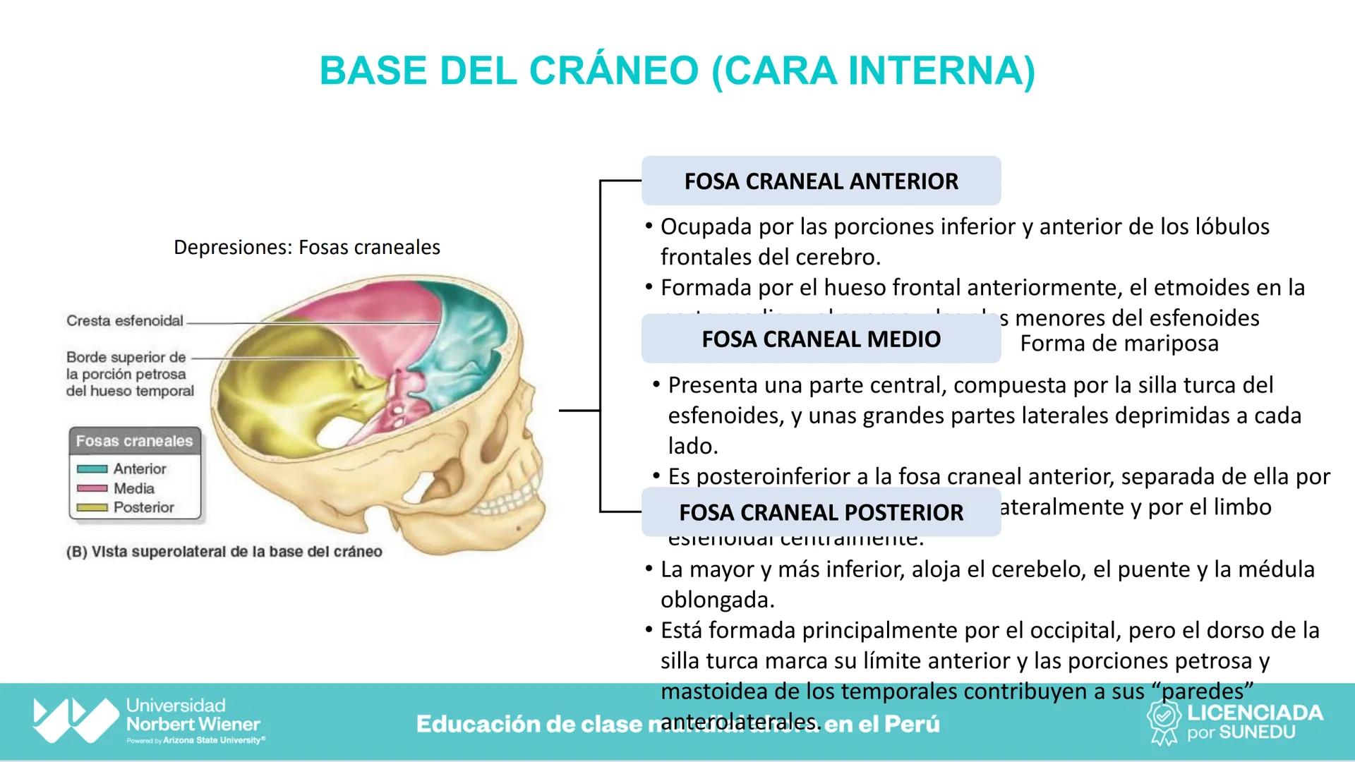 Universidad
Norbert Wiener
Powered by Arizona State University®
VERY GOOD
QS
¡Bienvenidos!
UNIDAD III - Fundamentos Integrados del Siste