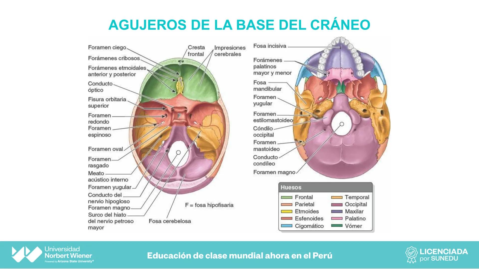 Universidad
Norbert Wiener
Powered by Arizona State University®
VERY GOOD
QS
¡Bienvenidos!
UNIDAD III - Fundamentos Integrados del Siste