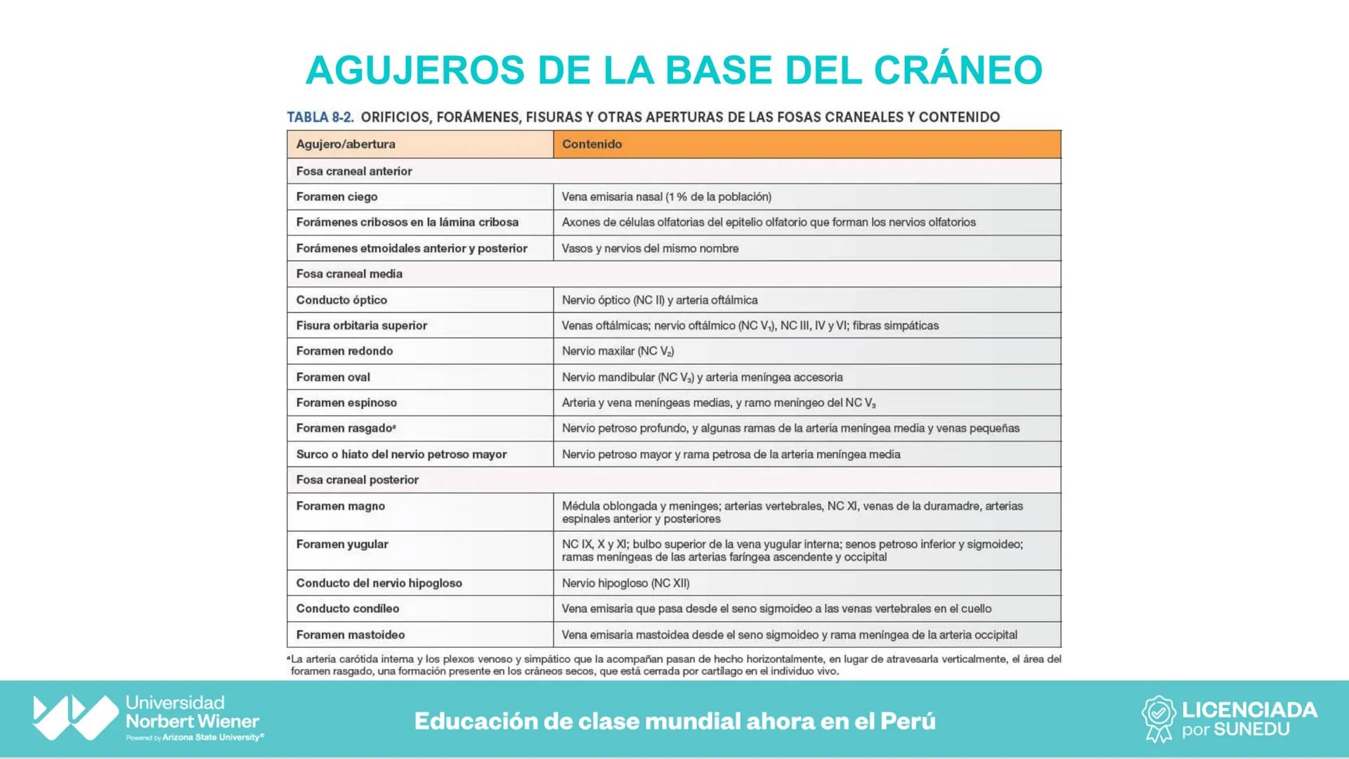 Universidad
Norbert Wiener
Powered by Arizona State University®
VERY GOOD
QS
¡Bienvenidos!
UNIDAD III - Fundamentos Integrados del Siste