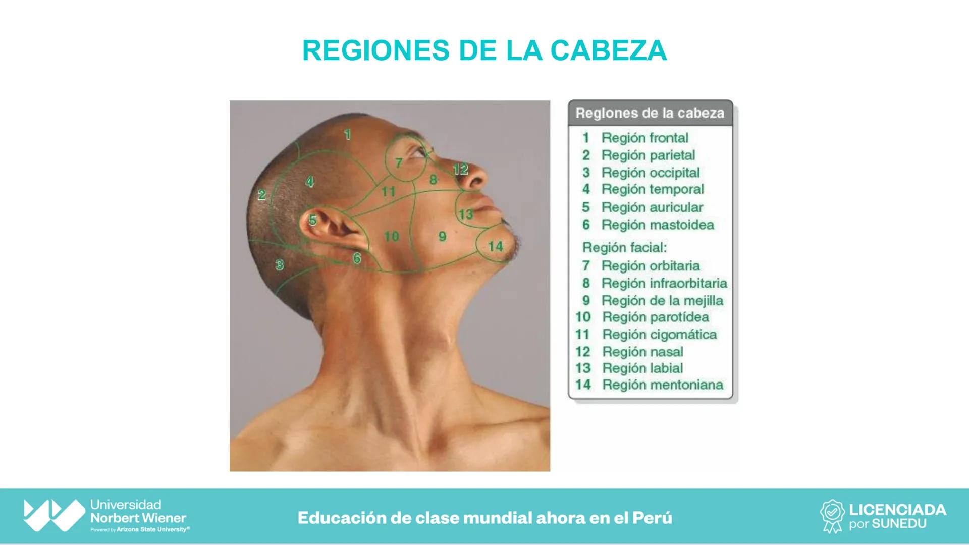 Universidad
Norbert Wiener
Powered by Arizona State University®
VERY GOOD
QS
¡Bienvenidos!
UNIDAD III - Fundamentos Integrados del Siste