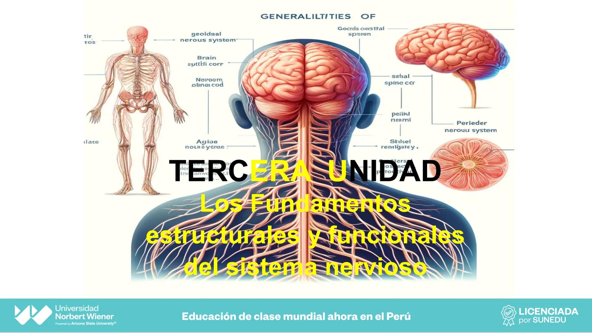 Universidad
Norbert Wiener
Powered by Arizona State University®
VERY GOOD
QS
¡Bienvenidos!
UNIDAD III - Fundamentos Integrados del Siste