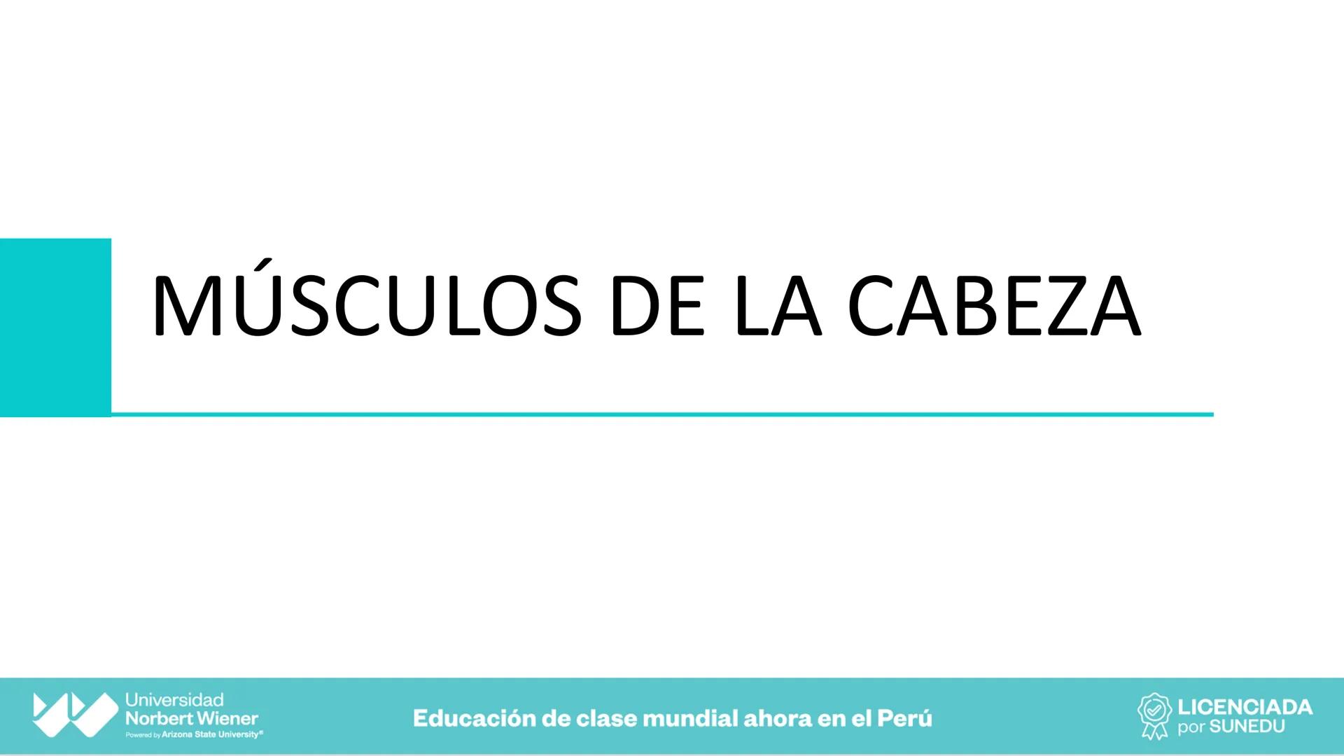 Universidad
Norbert Wiener
Powered by Arizona State University®
VERY GOOD
QS
¡Bienvenidos!
UNIDAD III - Fundamentos Integrados del Siste