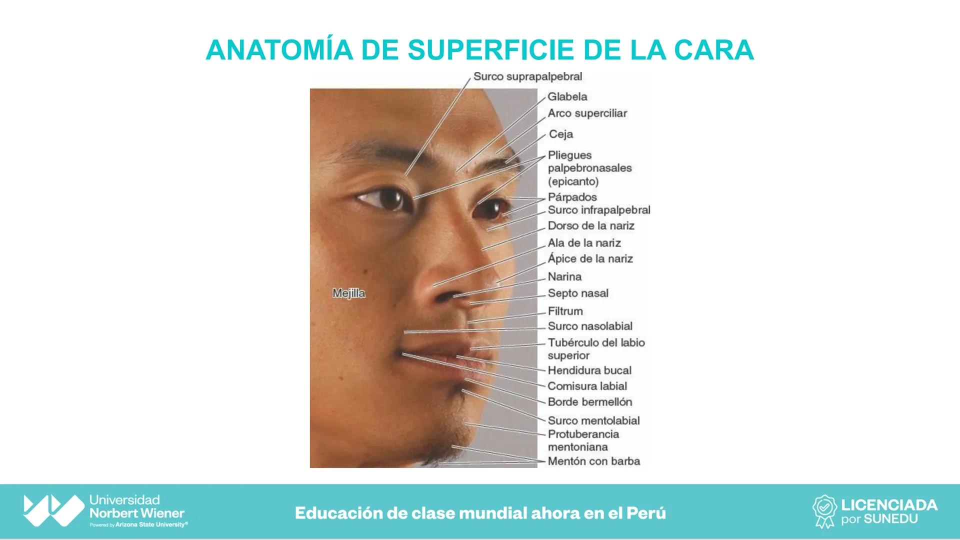 Universidad
Norbert Wiener
Powered by Arizona State University®
VERY GOOD
QS
¡Bienvenidos!
UNIDAD III - Fundamentos Integrados del Siste