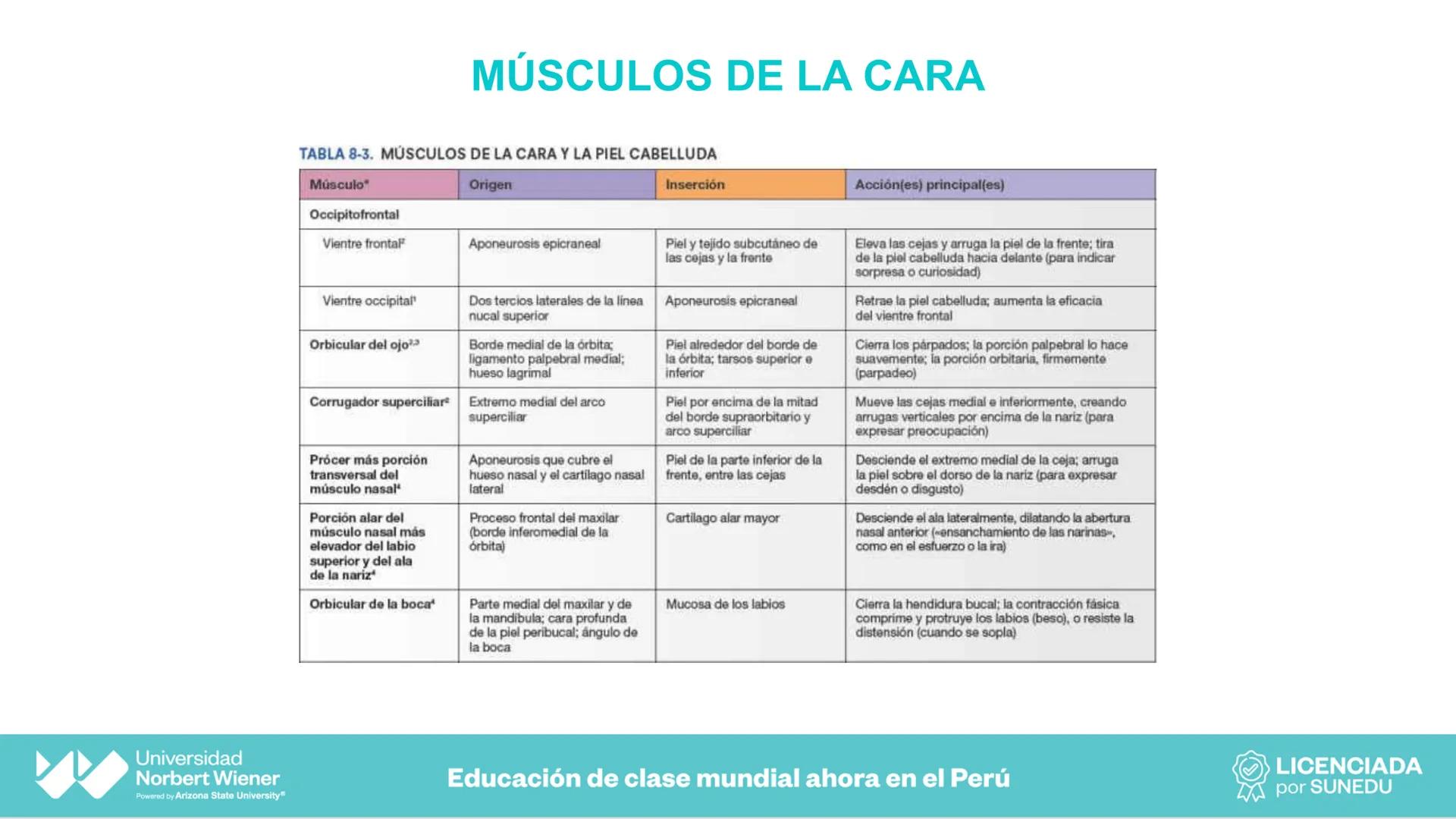 Universidad
Norbert Wiener
Powered by Arizona State University®
VERY GOOD
QS
¡Bienvenidos!
UNIDAD III - Fundamentos Integrados del Siste