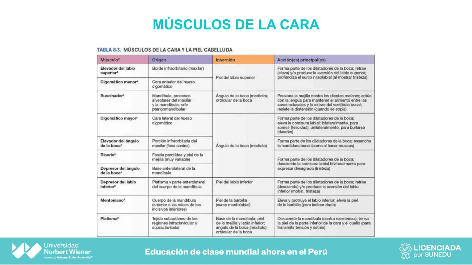 Universidad
Norbert Wiener
Powered by Arizona State University®
VERY GOOD
QS
¡Bienvenidos!
UNIDAD III - Fundamentos Integrados del Siste