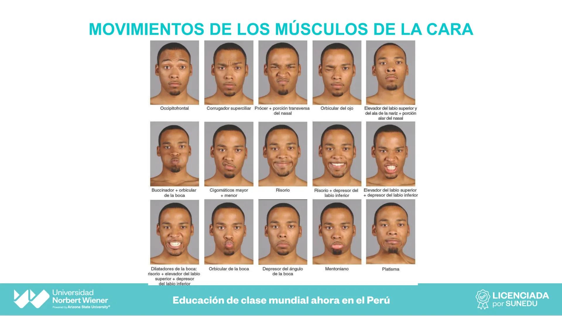 Universidad
Norbert Wiener
Powered by Arizona State University®
VERY GOOD
QS
¡Bienvenidos!
UNIDAD III - Fundamentos Integrados del Siste