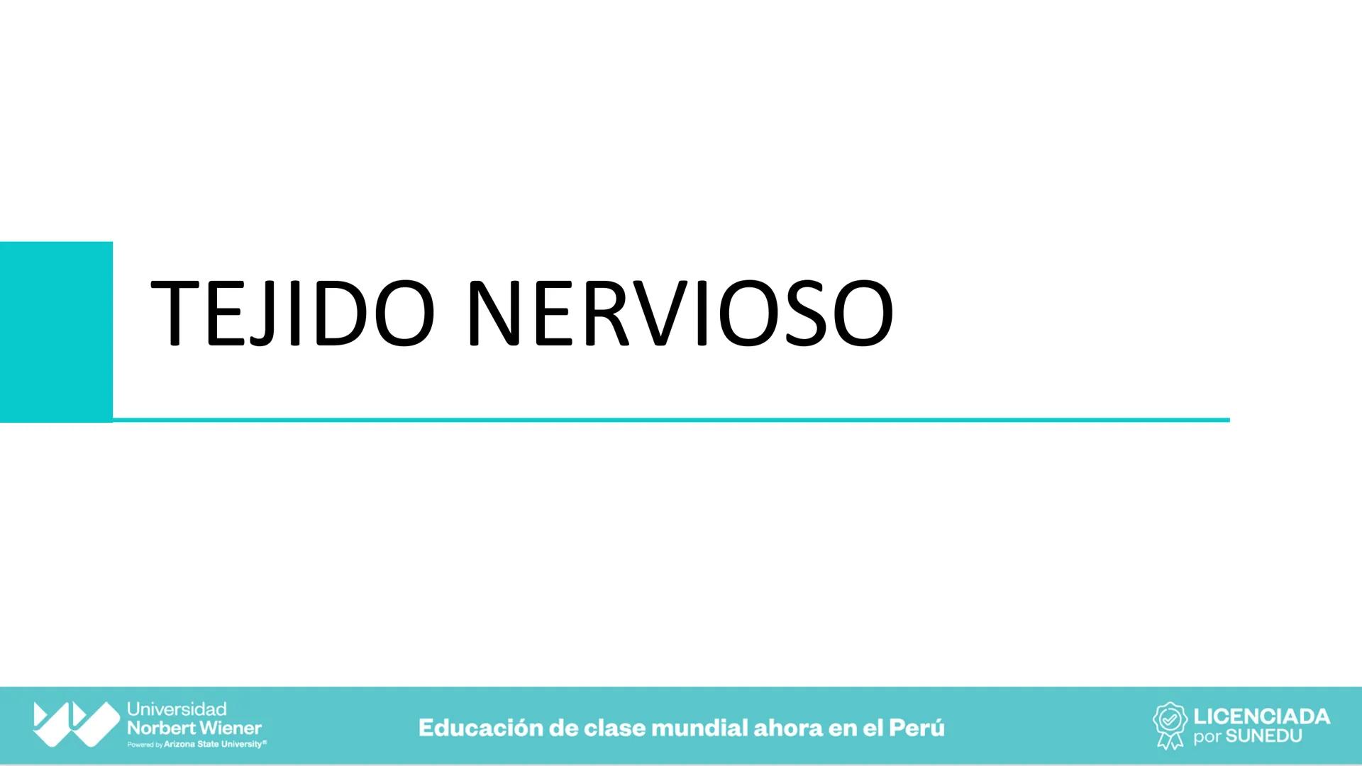 Universidad
Norbert Wiener
Powered by Arizona State University®
VERY GOOD
QS
¡Bienvenidos!
UNIDAD III - Fundamentos Integrados del Siste