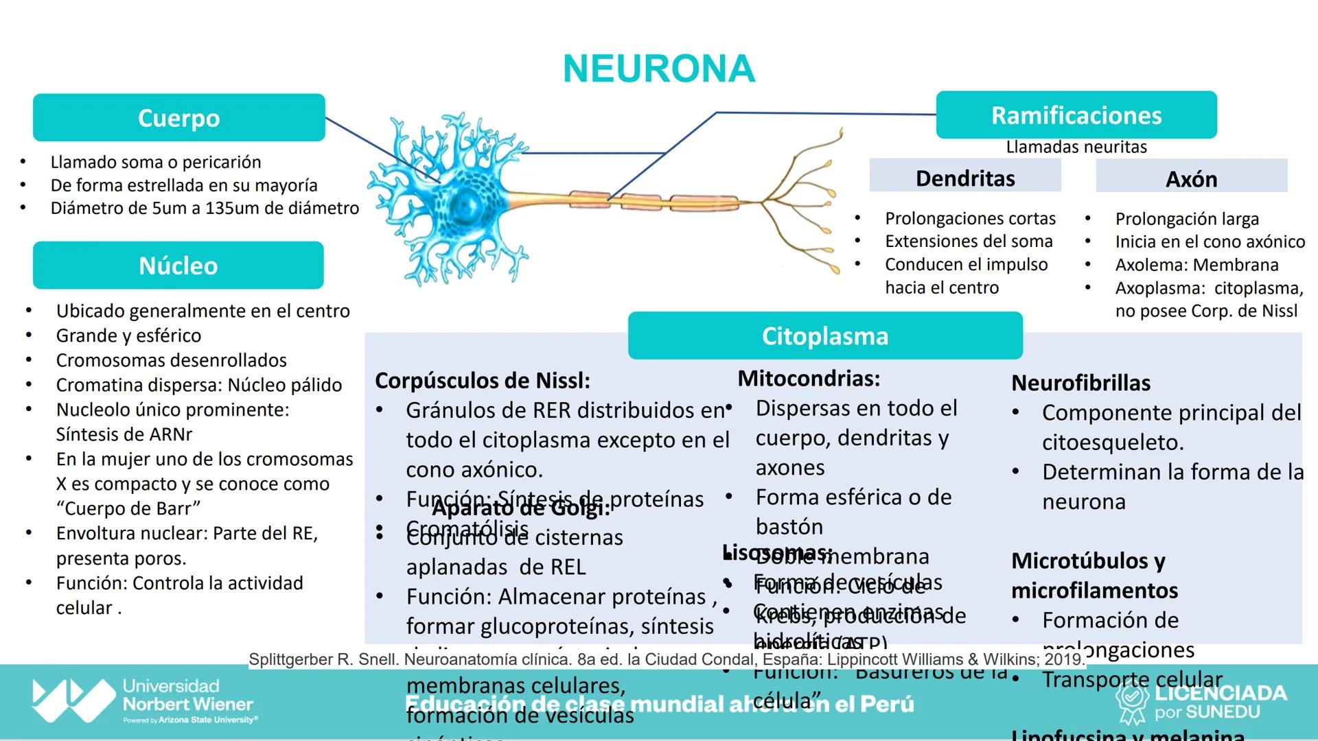 Universidad
Norbert Wiener
Powered by Arizona State University®
VERY GOOD
QS
¡Bienvenidos!
UNIDAD III - Fundamentos Integrados del Siste