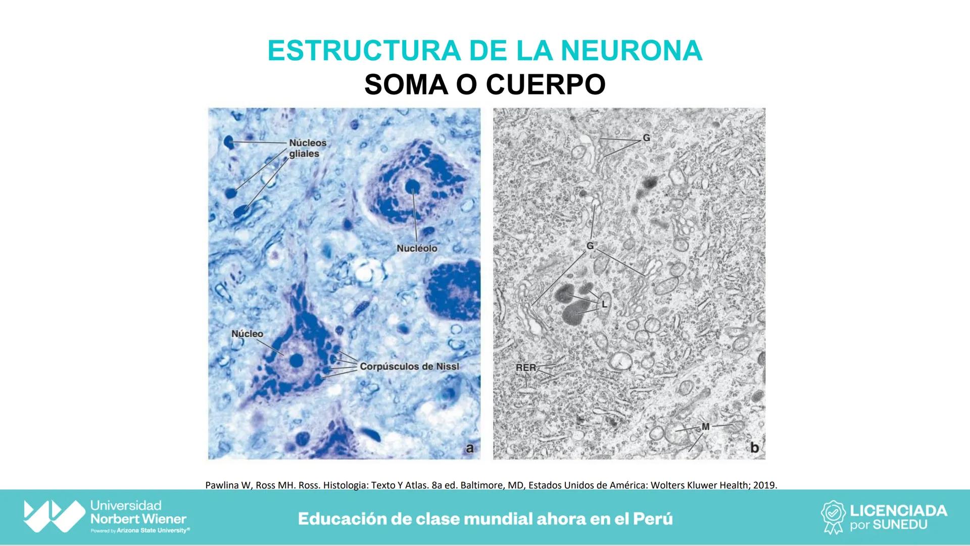 Universidad
Norbert Wiener
Powered by Arizona State University®
VERY GOOD
QS
¡Bienvenidos!
UNIDAD III - Fundamentos Integrados del Siste