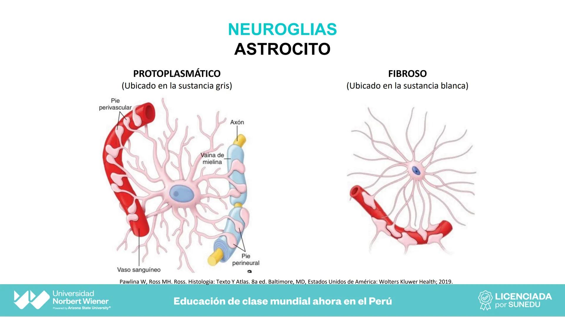 Universidad
Norbert Wiener
Powered by Arizona State University®
VERY GOOD
QS
¡Bienvenidos!
UNIDAD III - Fundamentos Integrados del Siste