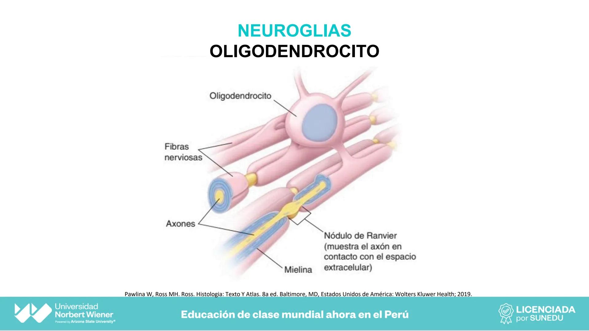 Universidad
Norbert Wiener
Powered by Arizona State University®
VERY GOOD
QS
¡Bienvenidos!
UNIDAD III - Fundamentos Integrados del Siste