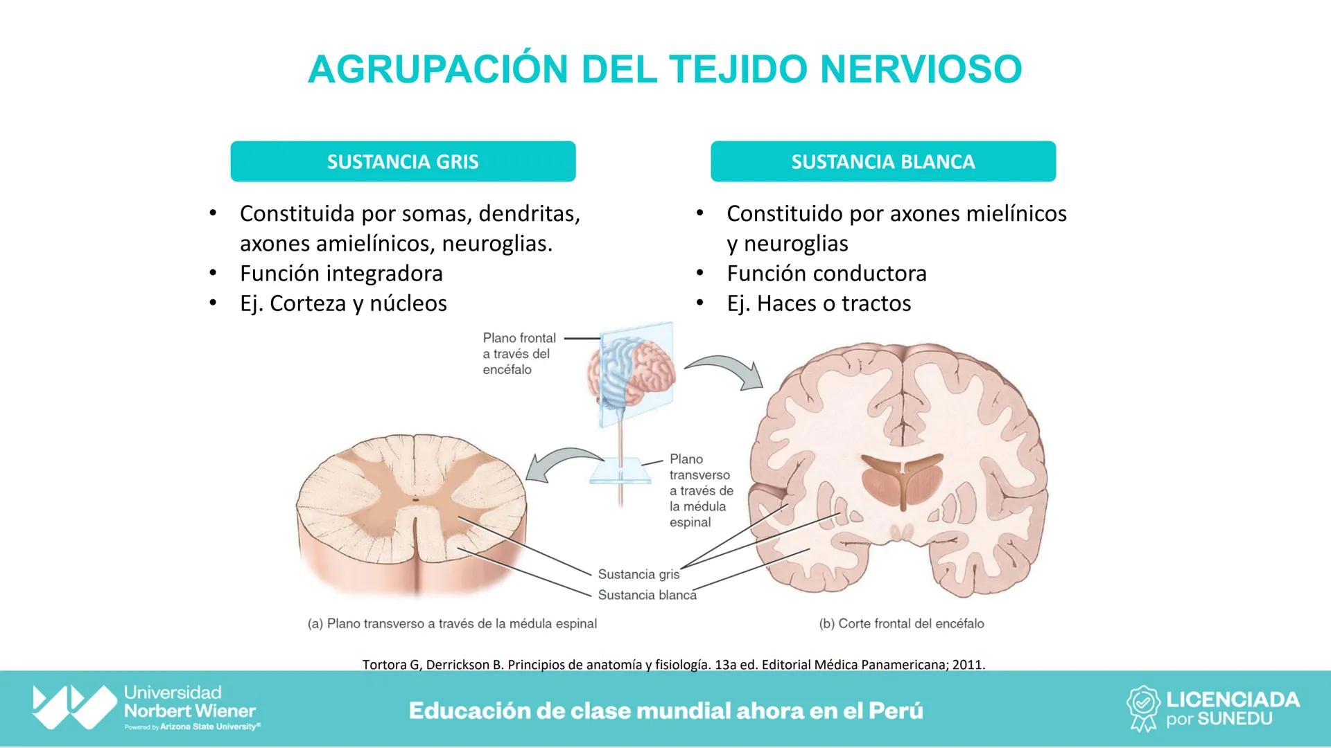 Universidad
Norbert Wiener
Powered by Arizona State University®
VERY GOOD
QS
¡Bienvenidos!
UNIDAD III - Fundamentos Integrados del Siste