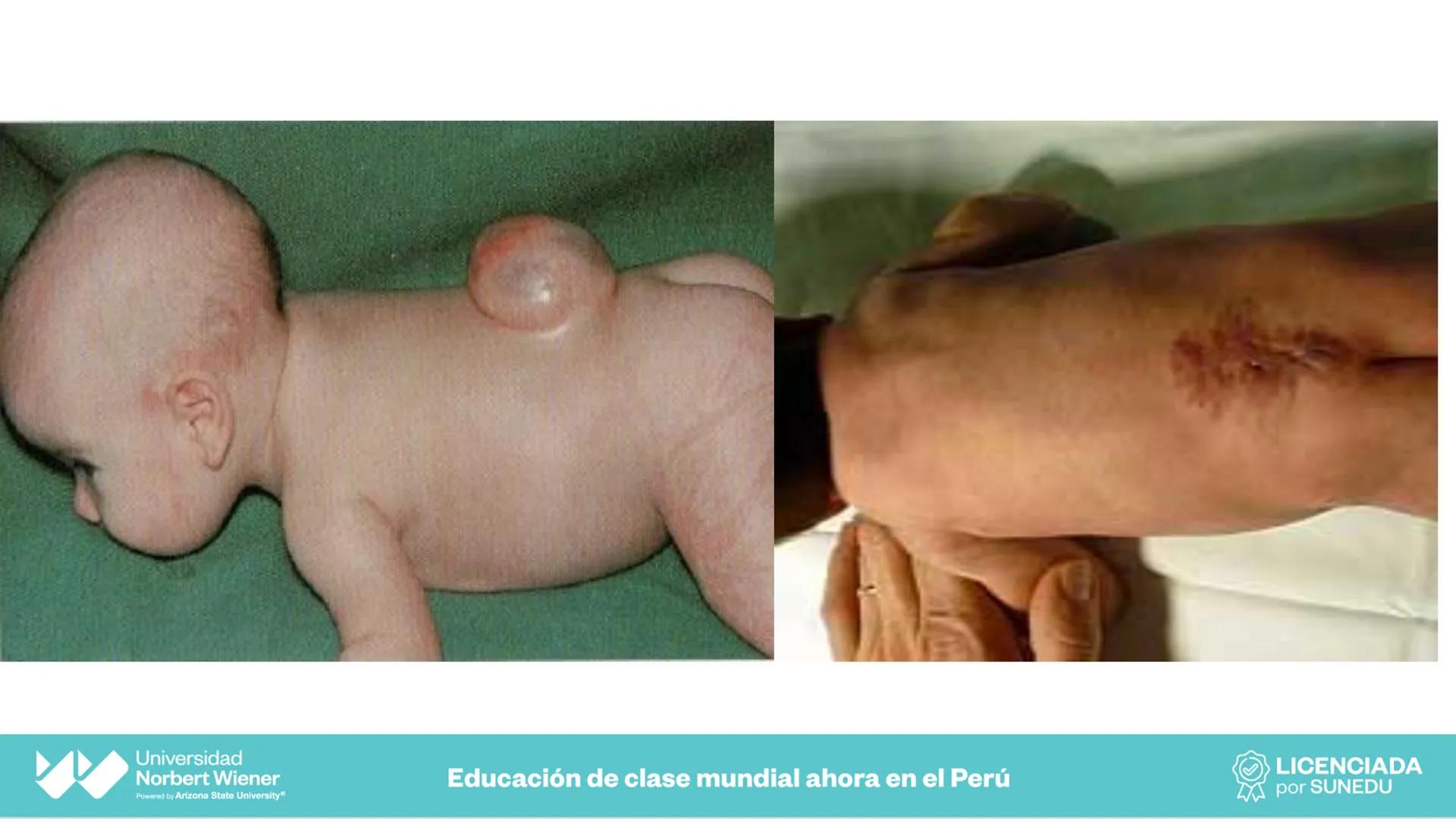 Universidad
Norbert Wiener
Powered by Arizona State University®
VERY GOOD
QS
¡Bienvenidos!
UNIDAD III - Fundamentos Integrados del Siste