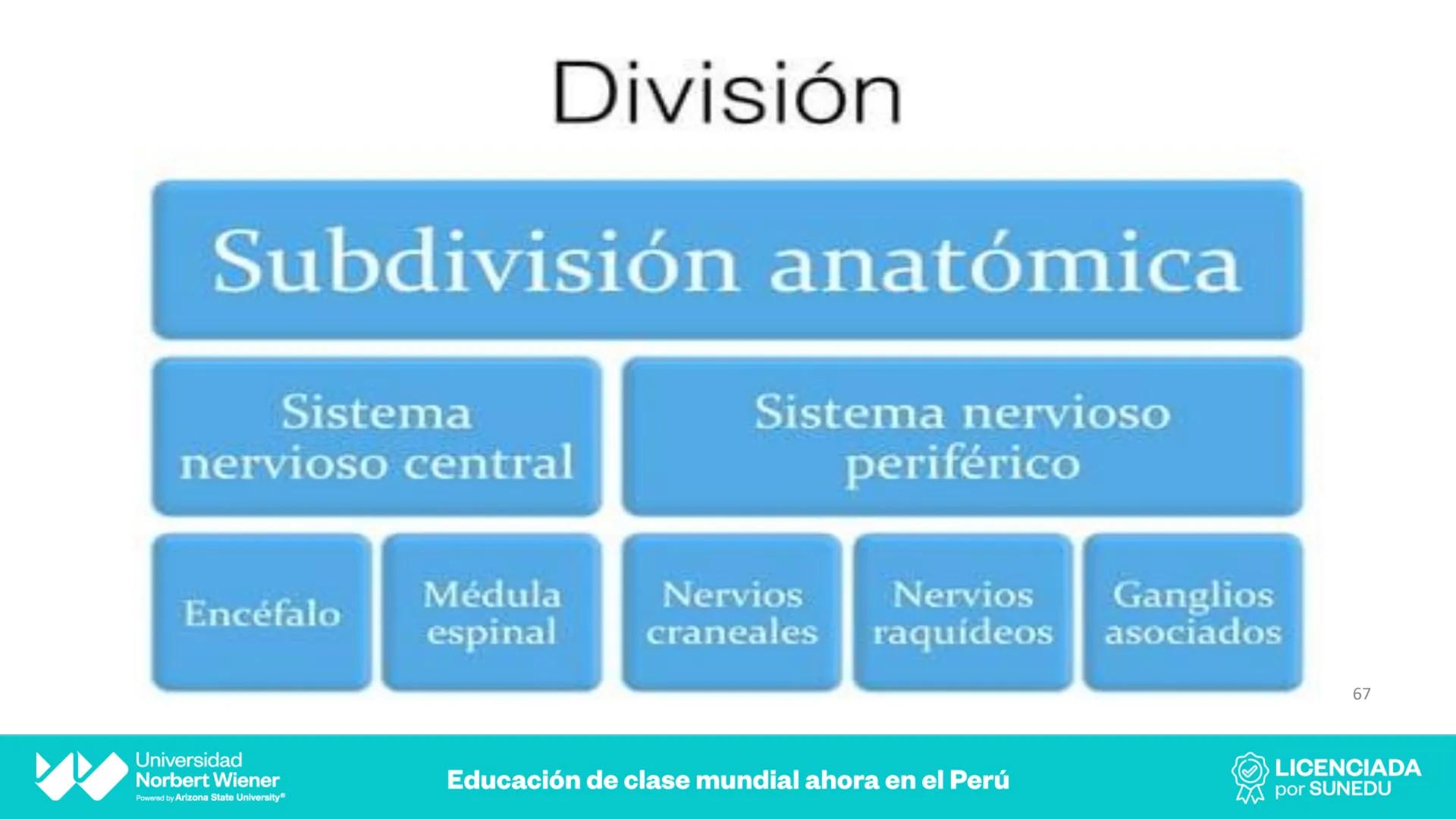 Universidad
Norbert Wiener
Powered by Arizona State University®
VERY GOOD
QS
¡Bienvenidos!
UNIDAD III - Fundamentos Integrados del Siste